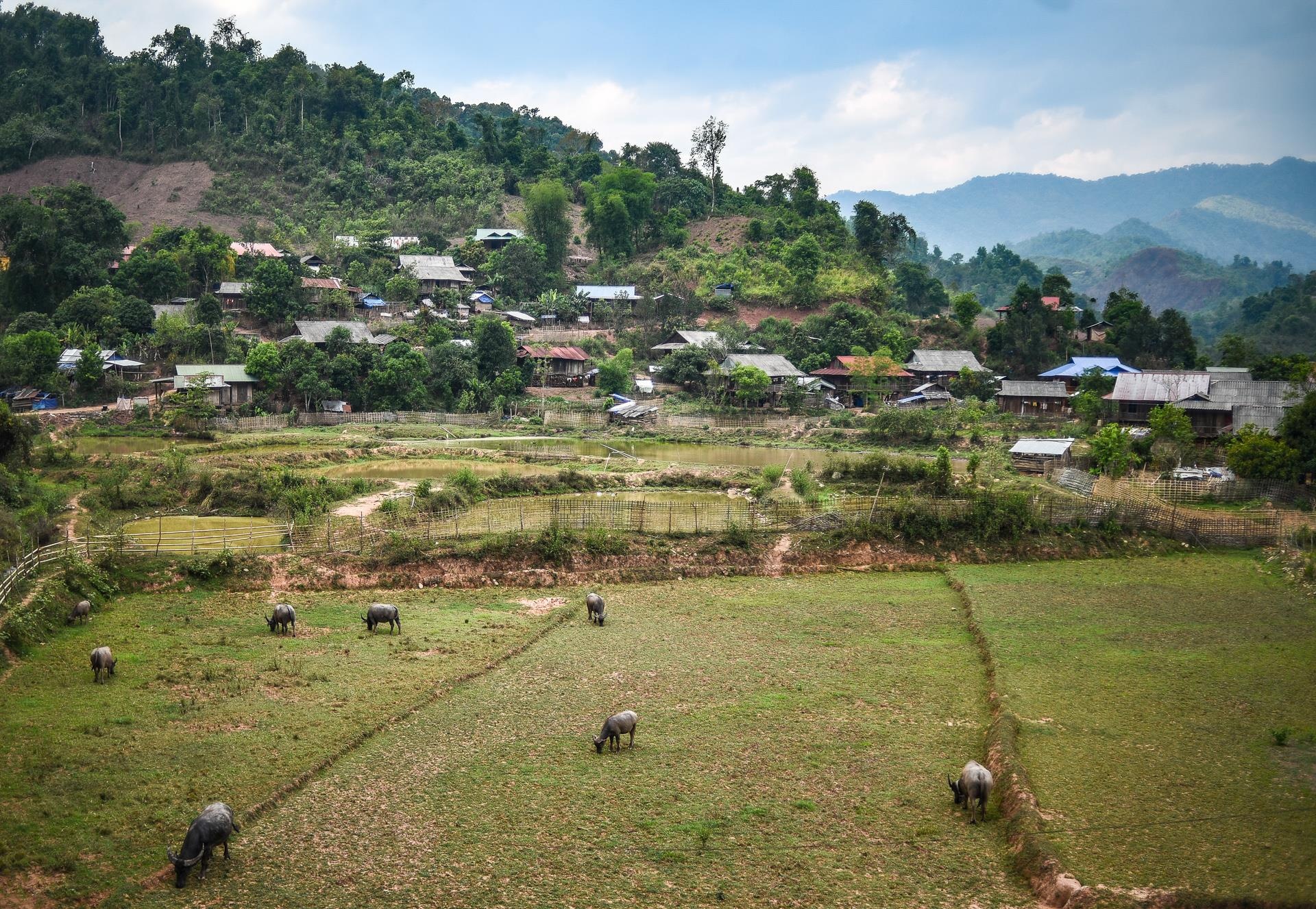 tieu hoc noi tru vung bien anh 19