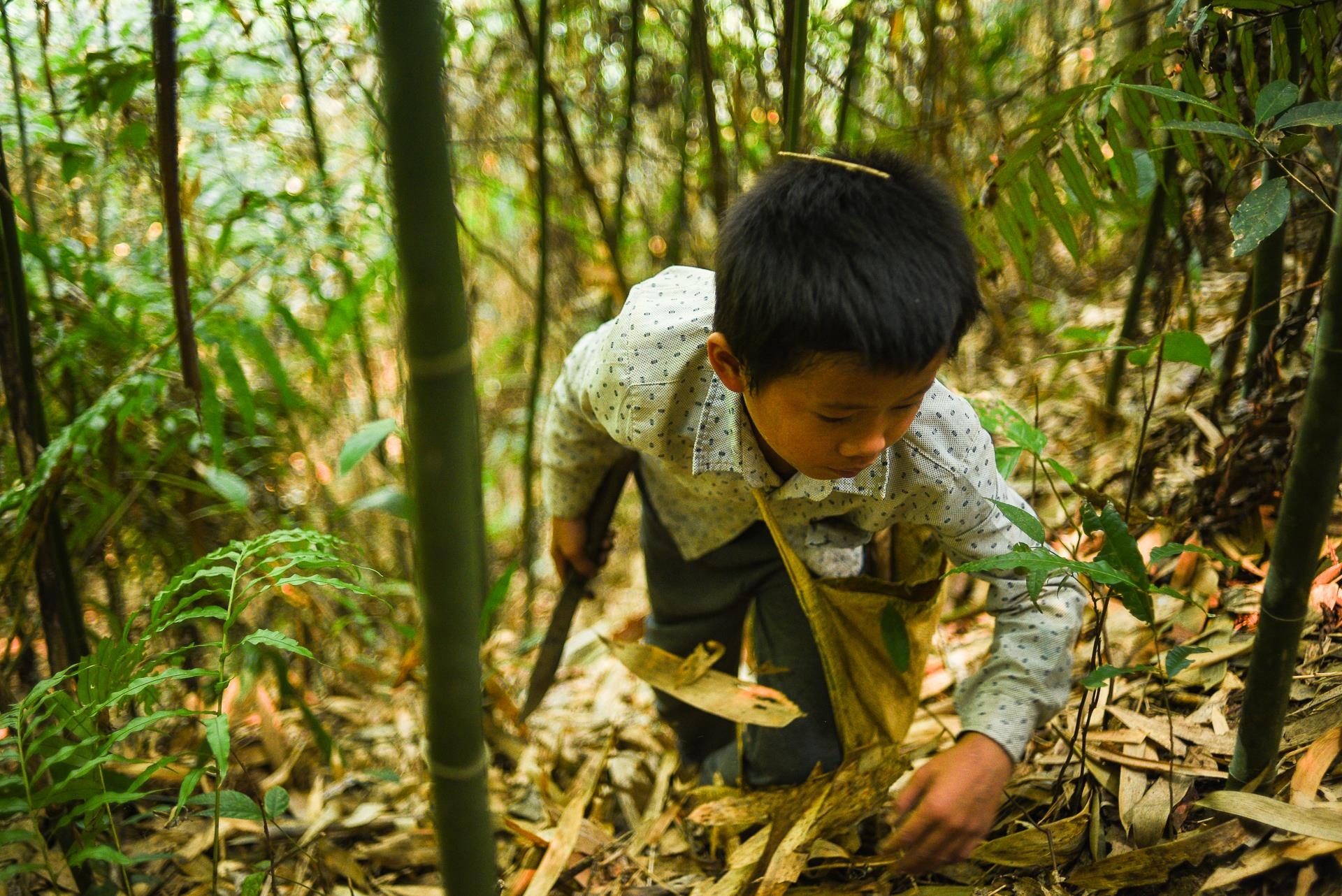 tieu hoc noi tru vung bien anh 26