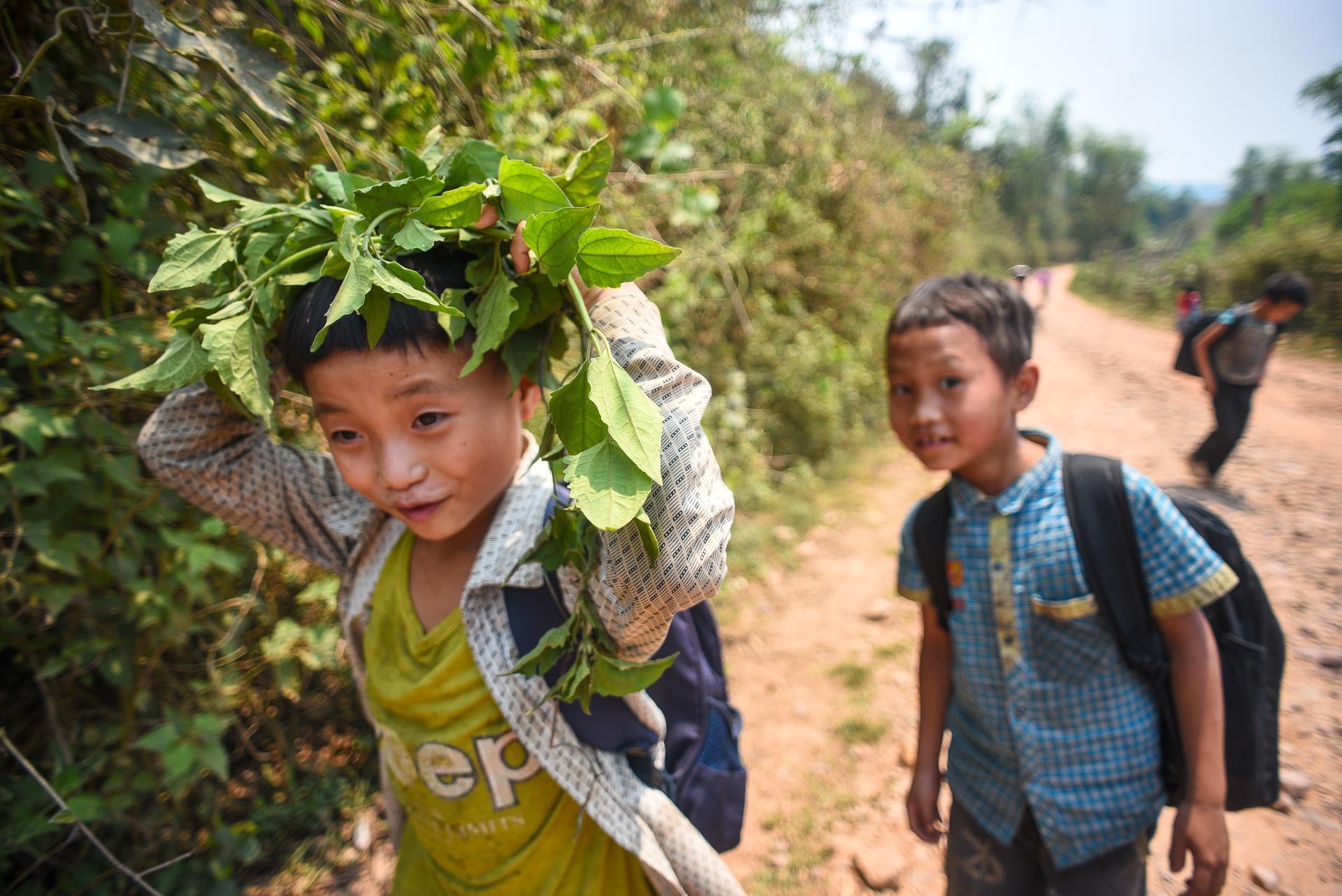 tieu hoc noi tru vung bien anh 48