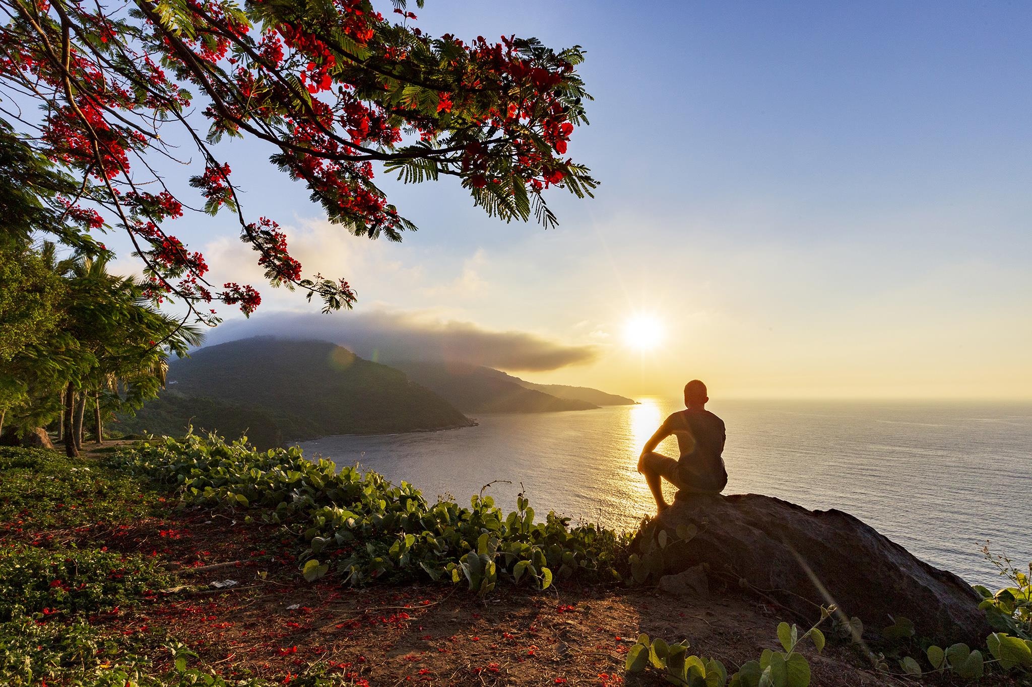 mua hoa phuong do Da Nang anh 4