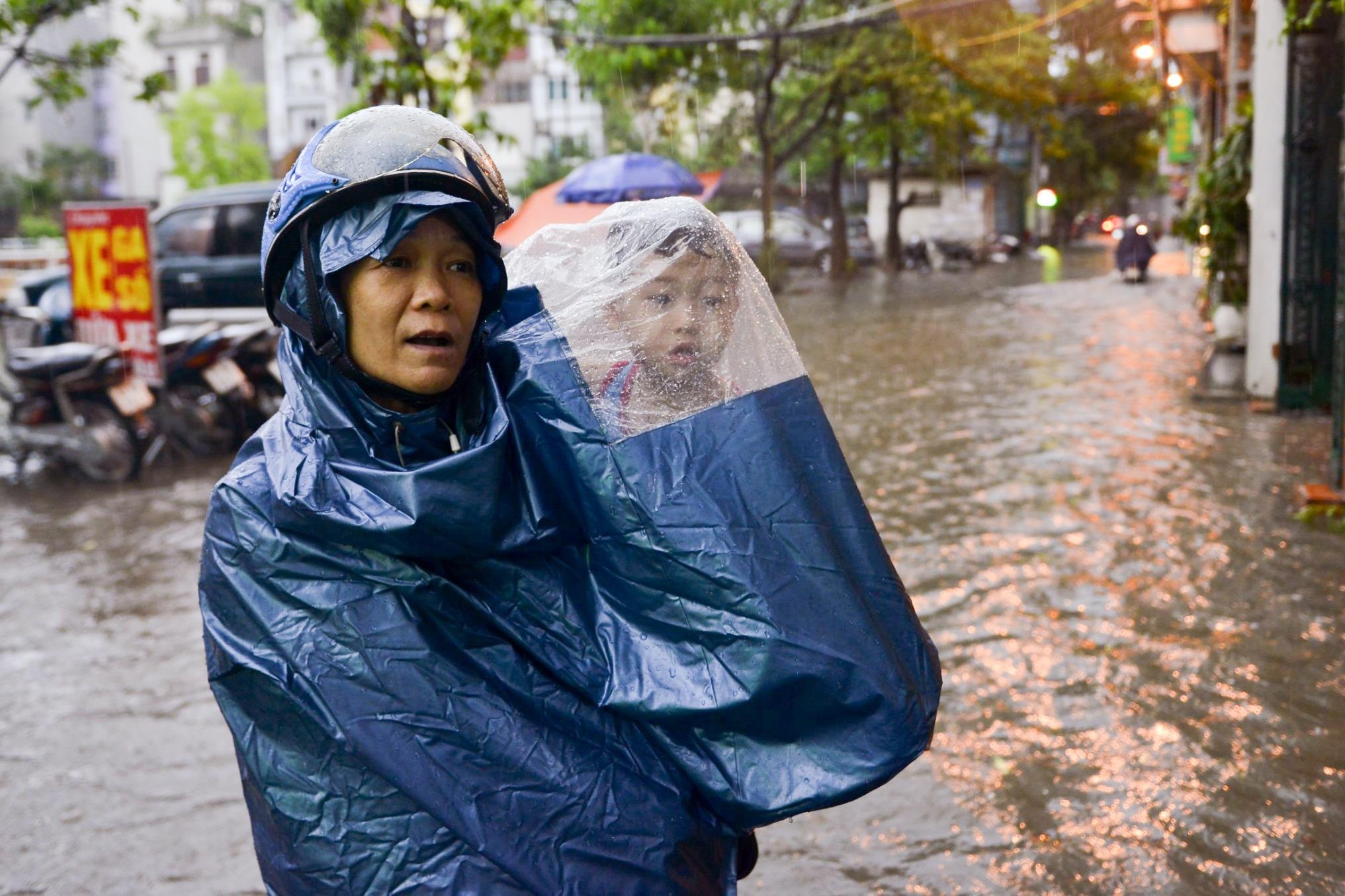 Mua ngap o Ha Noi anh 12