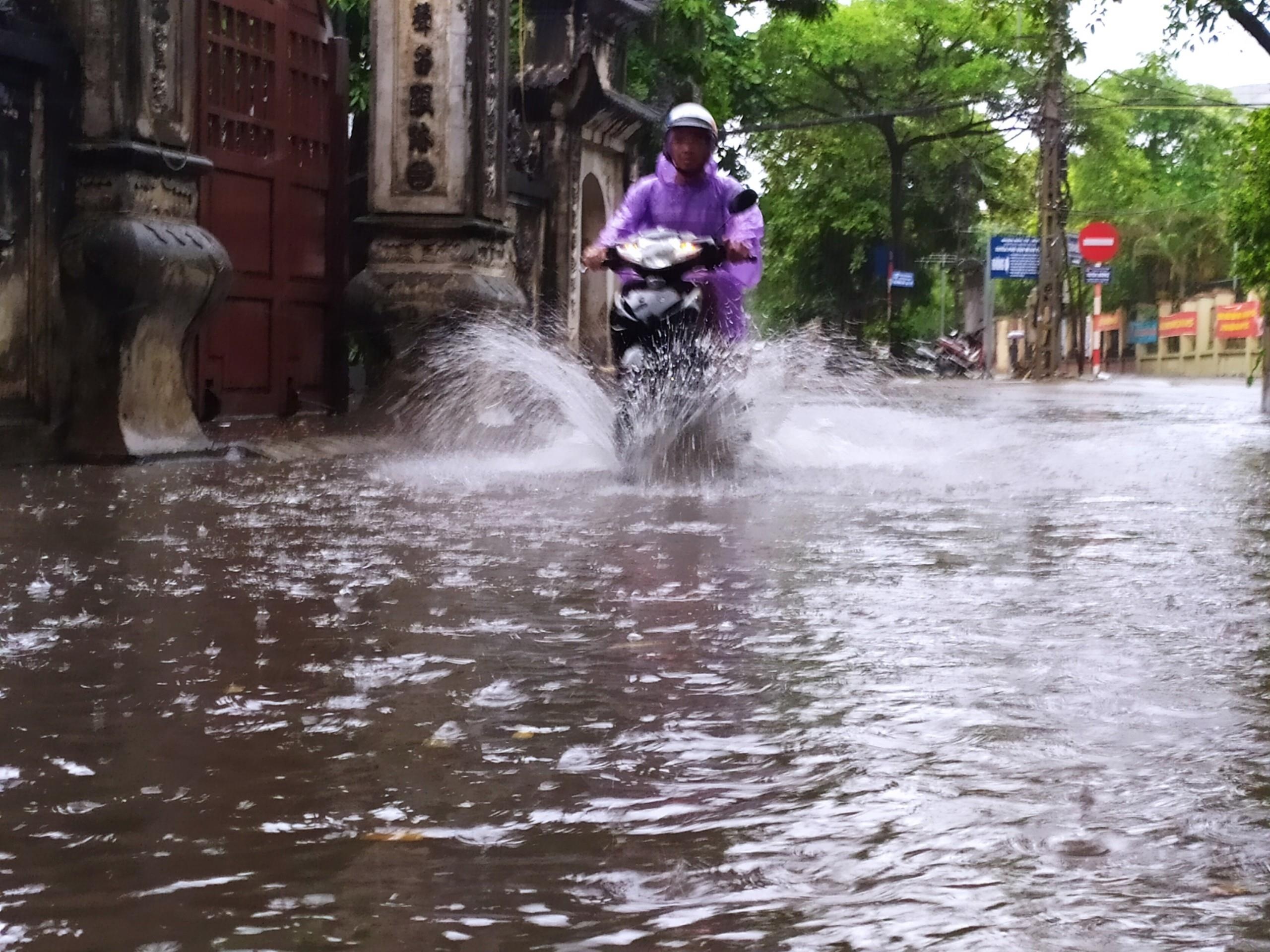 Mua ngap o Ha Noi anh 7