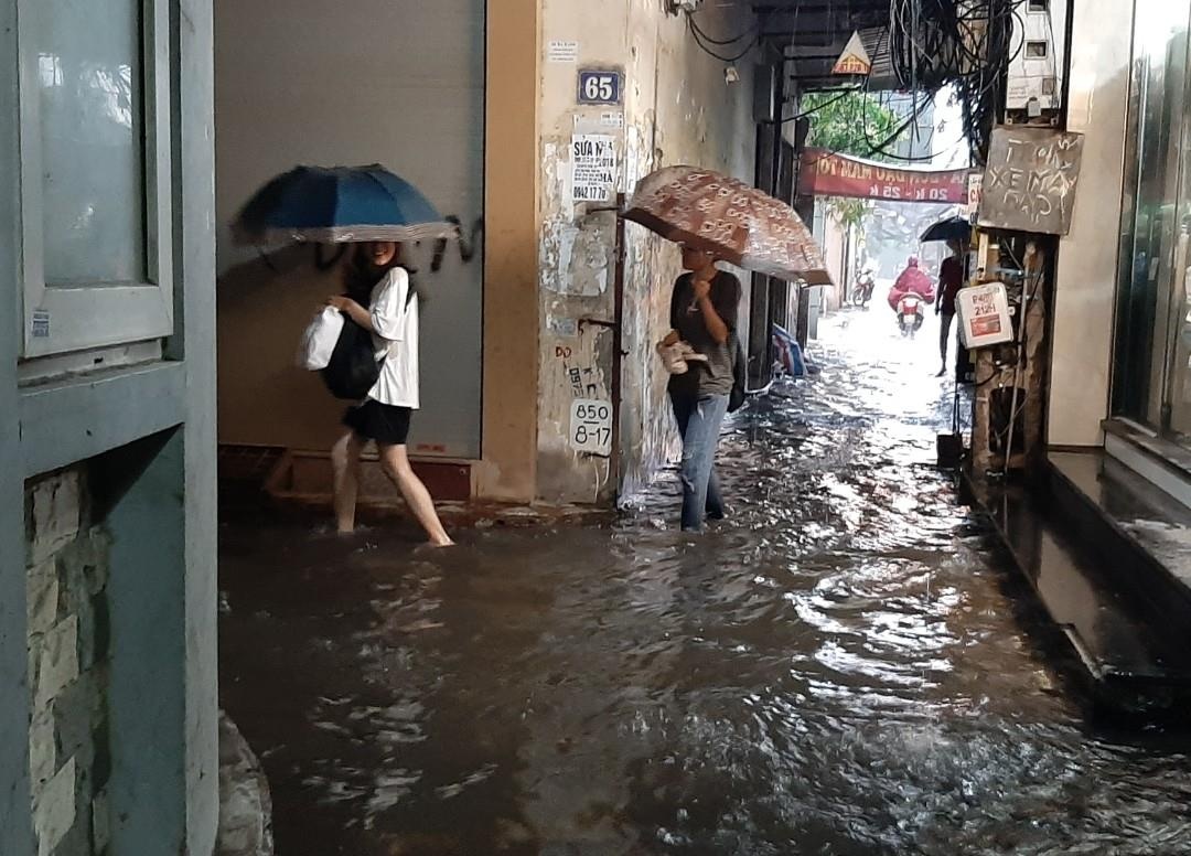 Mua ngap o Ha Noi anh 8