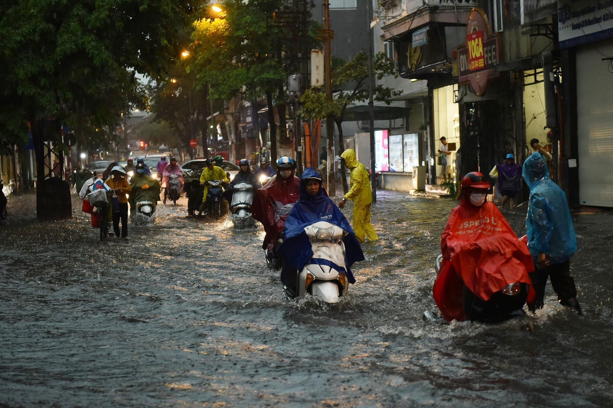 Mua ngap o Ha Noi anh 9
