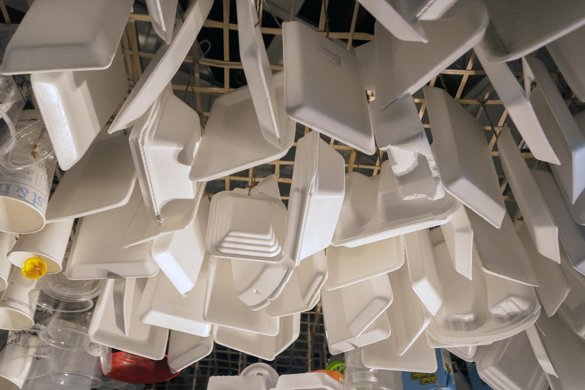 rac o trien lam Ha Noi anh 4