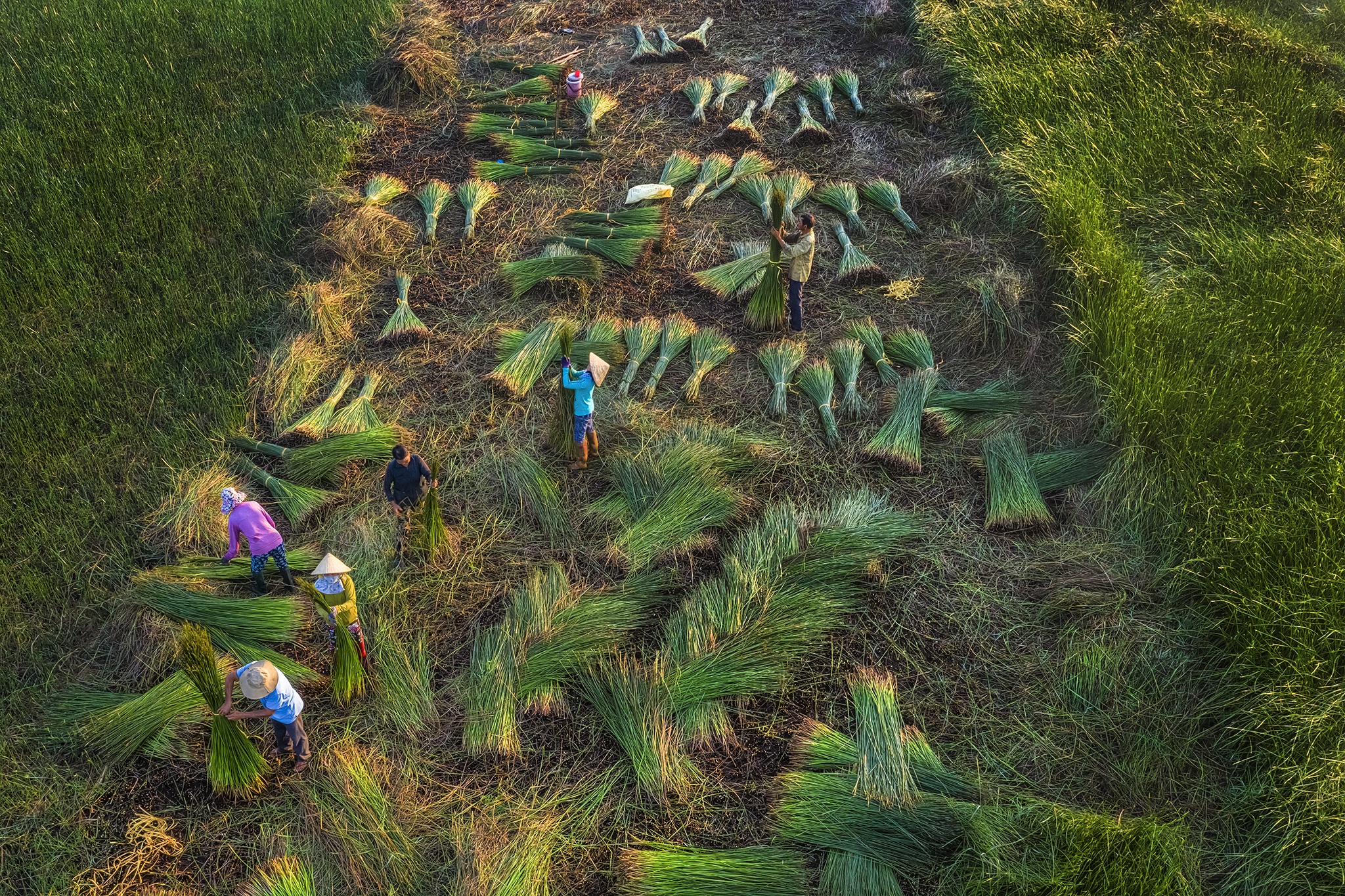 ve dep Ha Long o Quang Ninh anh 9