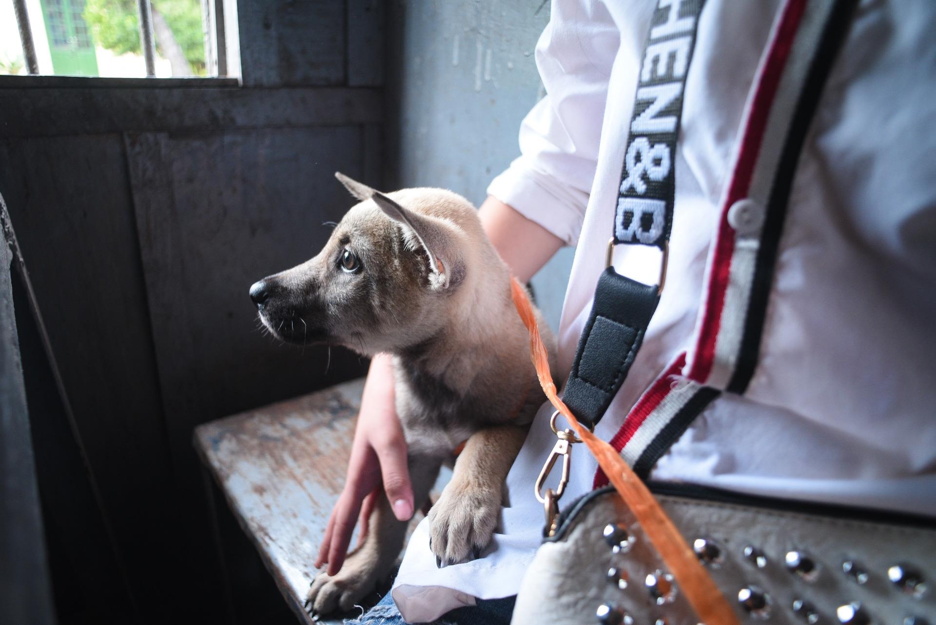 chuyến tàu vắng khách nhất cả nước Hà Nội Quảng Ninh ảnh 13 chuyen tau vang khach nhat ca nuoc Ha Noi Quang Ninh anh 13
