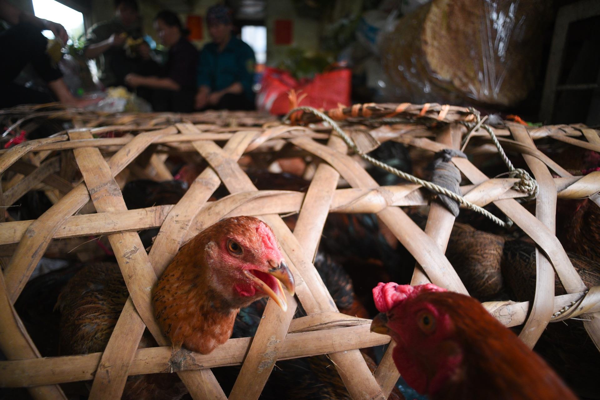 chuyến tàu vắng khách nhất cả nước Hà Nội Quảng Ninh ảnh 30 chuyen tau vang khach nhat ca nuoc Ha Noi Quang Ninh anh 30