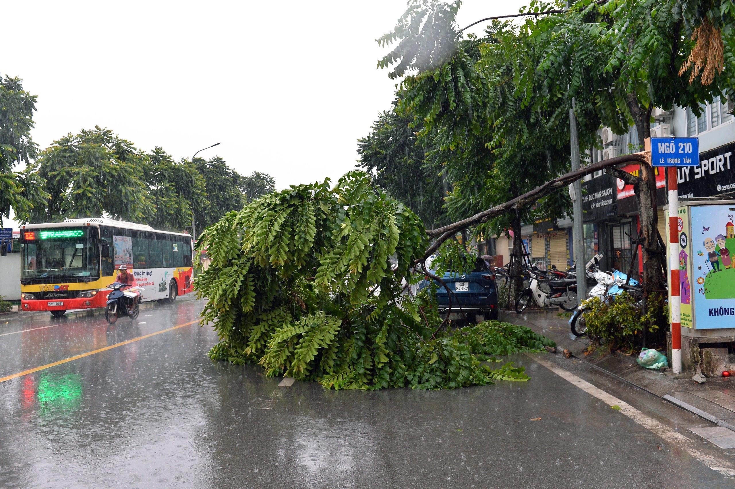 mua ngap o Ha Noi anh 8