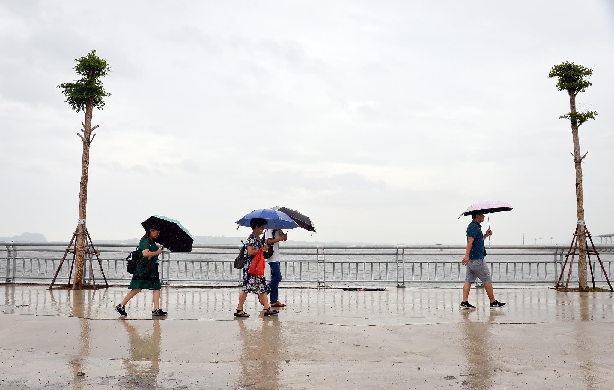 bao so 3 Wipha tien vao Hai Phong anh 2