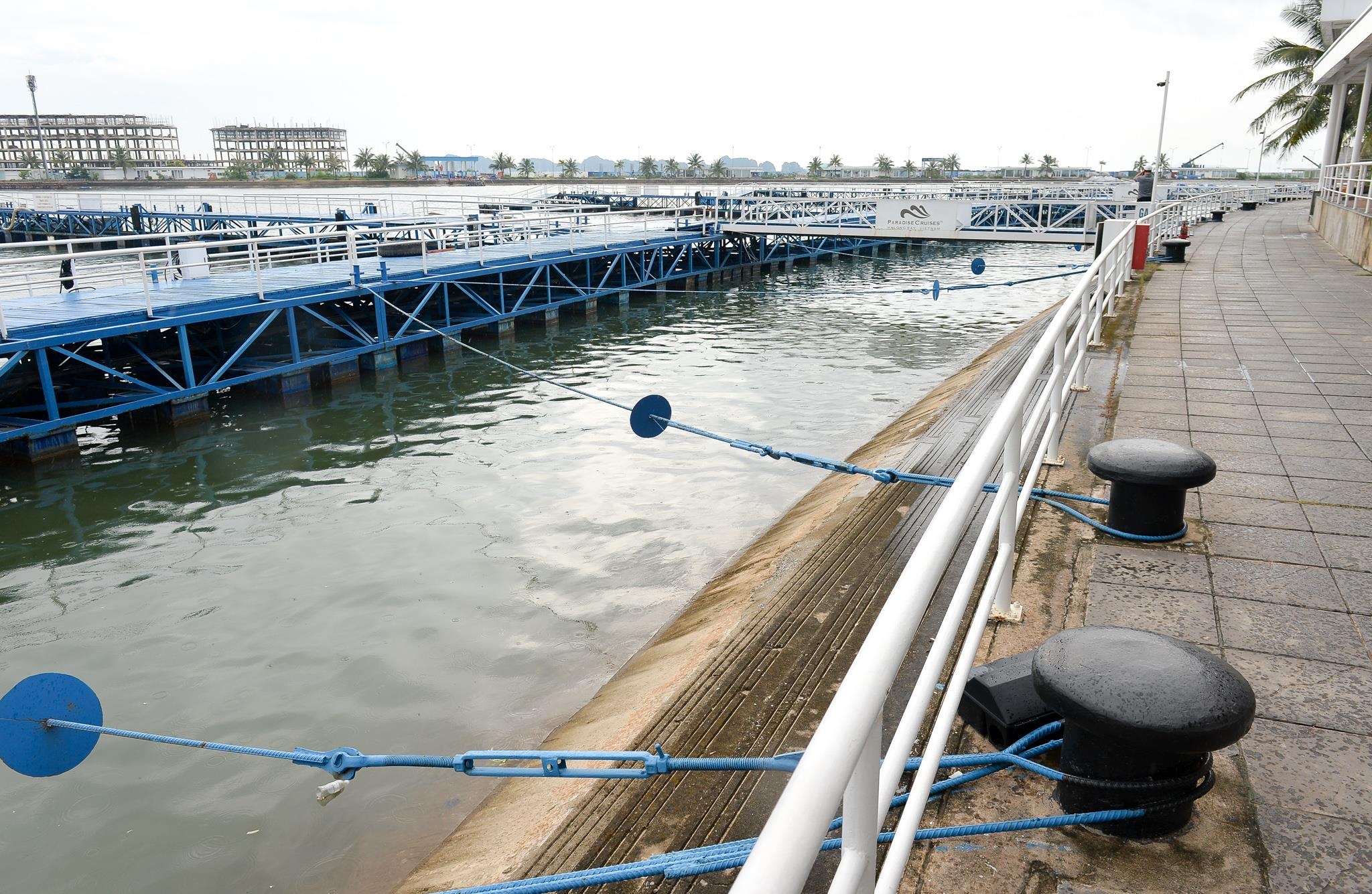 bao so 3 Wipha tien vao Hai Phong anh 6