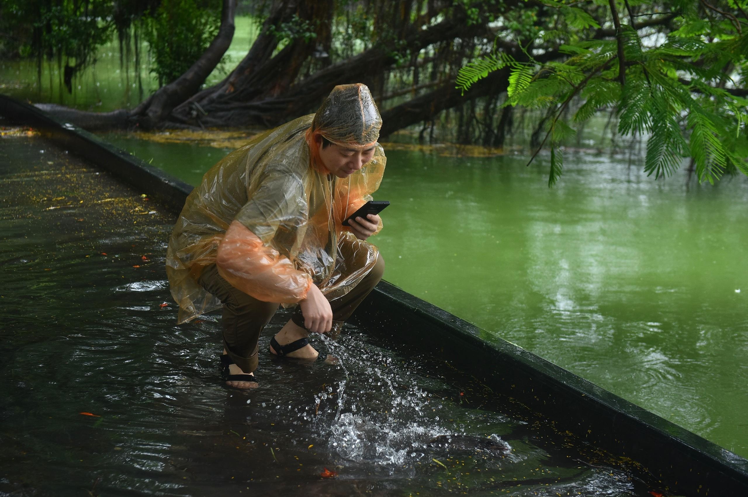 mua to gio lon o Ha Noi anh 10