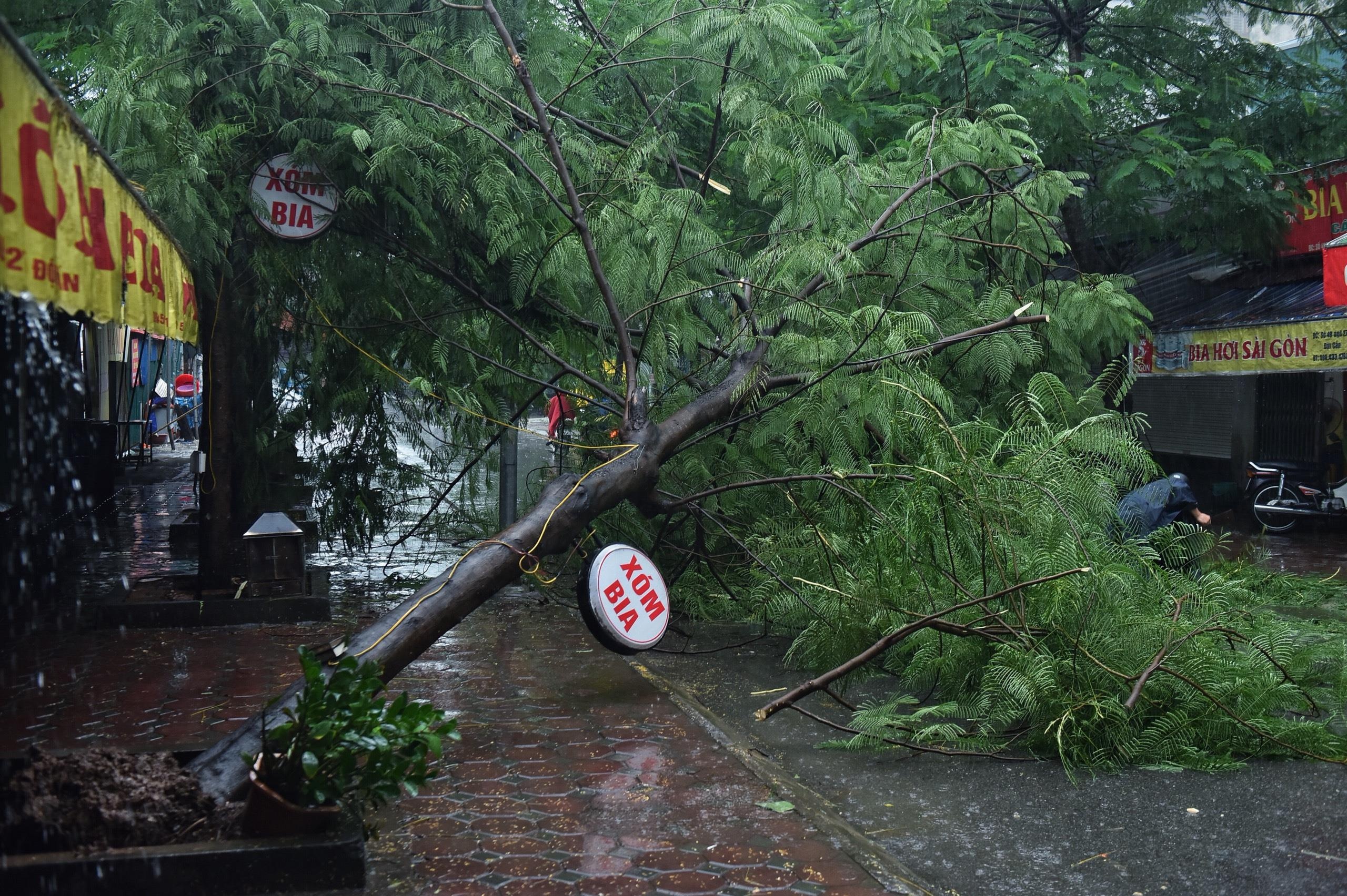 mưa bão Wipha gây ảnh hưởng các tỉnh ảnh 2 mua bao Wipha gay anh huong cac tinh anh 2