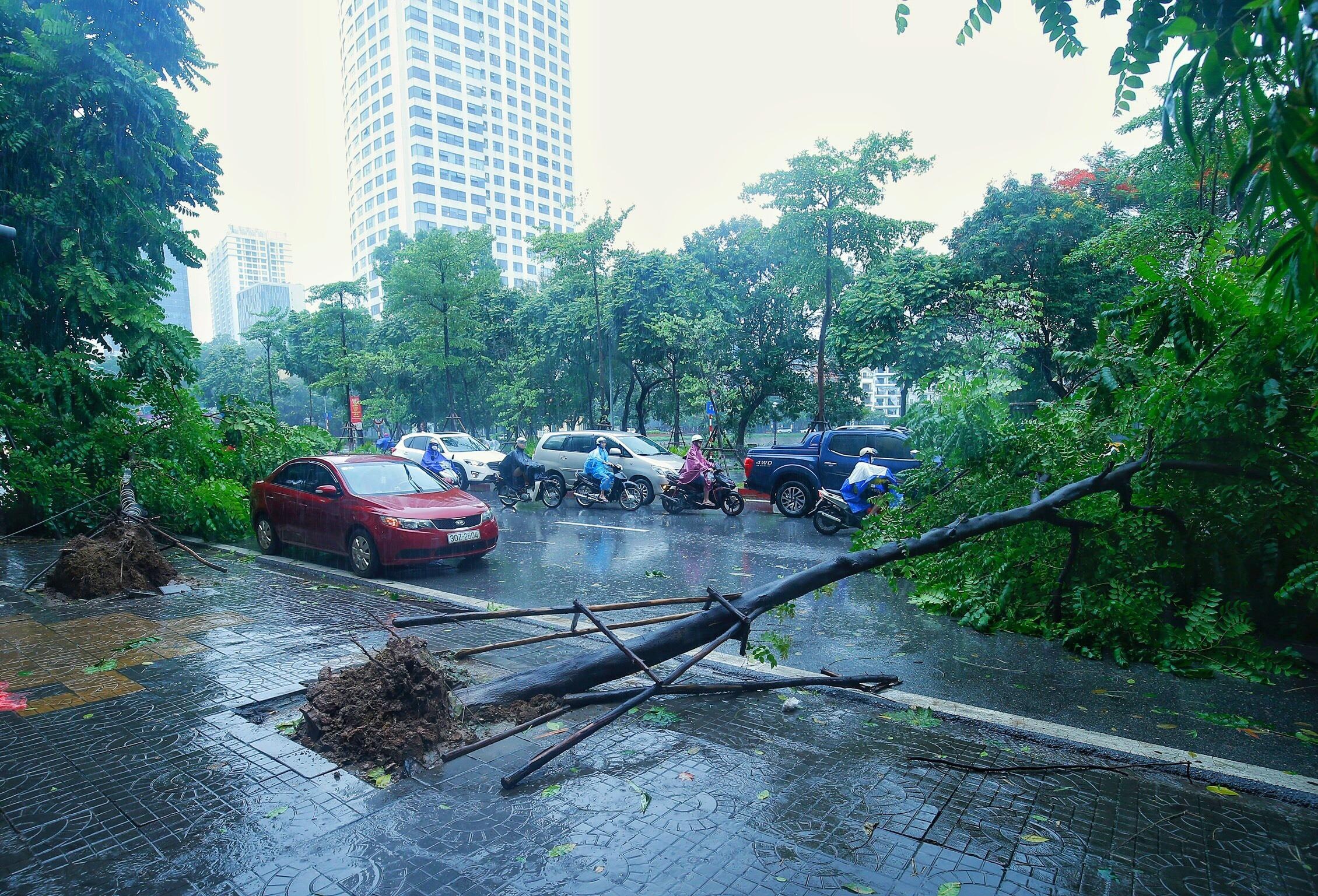 mưa bão Wipha gây ảnh hưởng các tỉnh ảnh 4 mua bao Wipha gay anh huong cac tinh anh 4