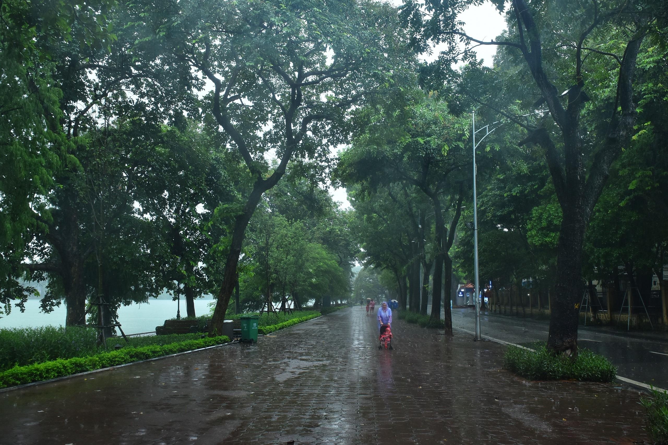 mua to gio lon o Ha Noi anh 1