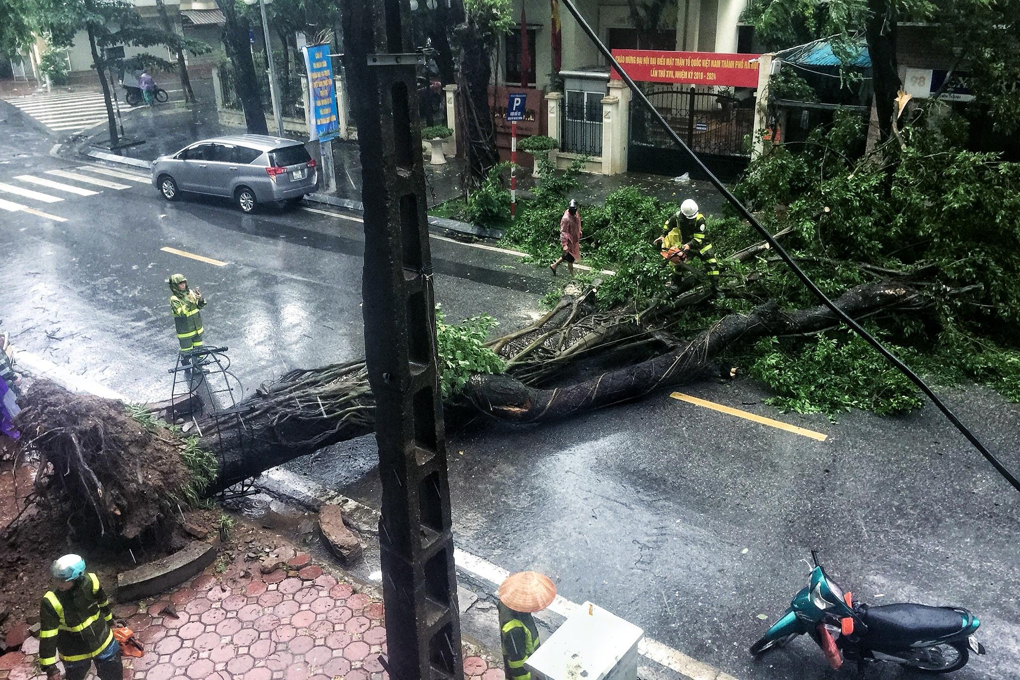 Cay do hang loat o Ha Noi, Hai Phong sau bao Wipha hinh anh