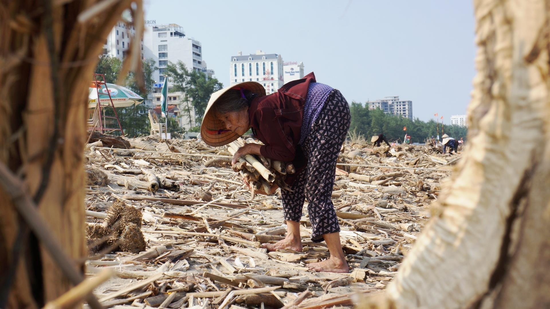 anh dep tuan qua tren Zing.vn anh 5