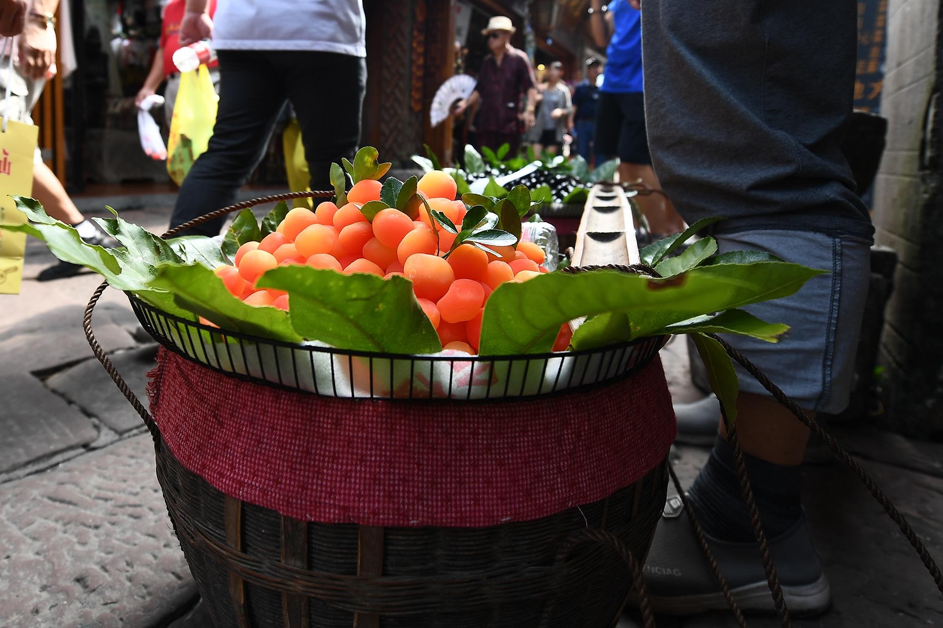 Phuong Hoang Co Tran anh 22