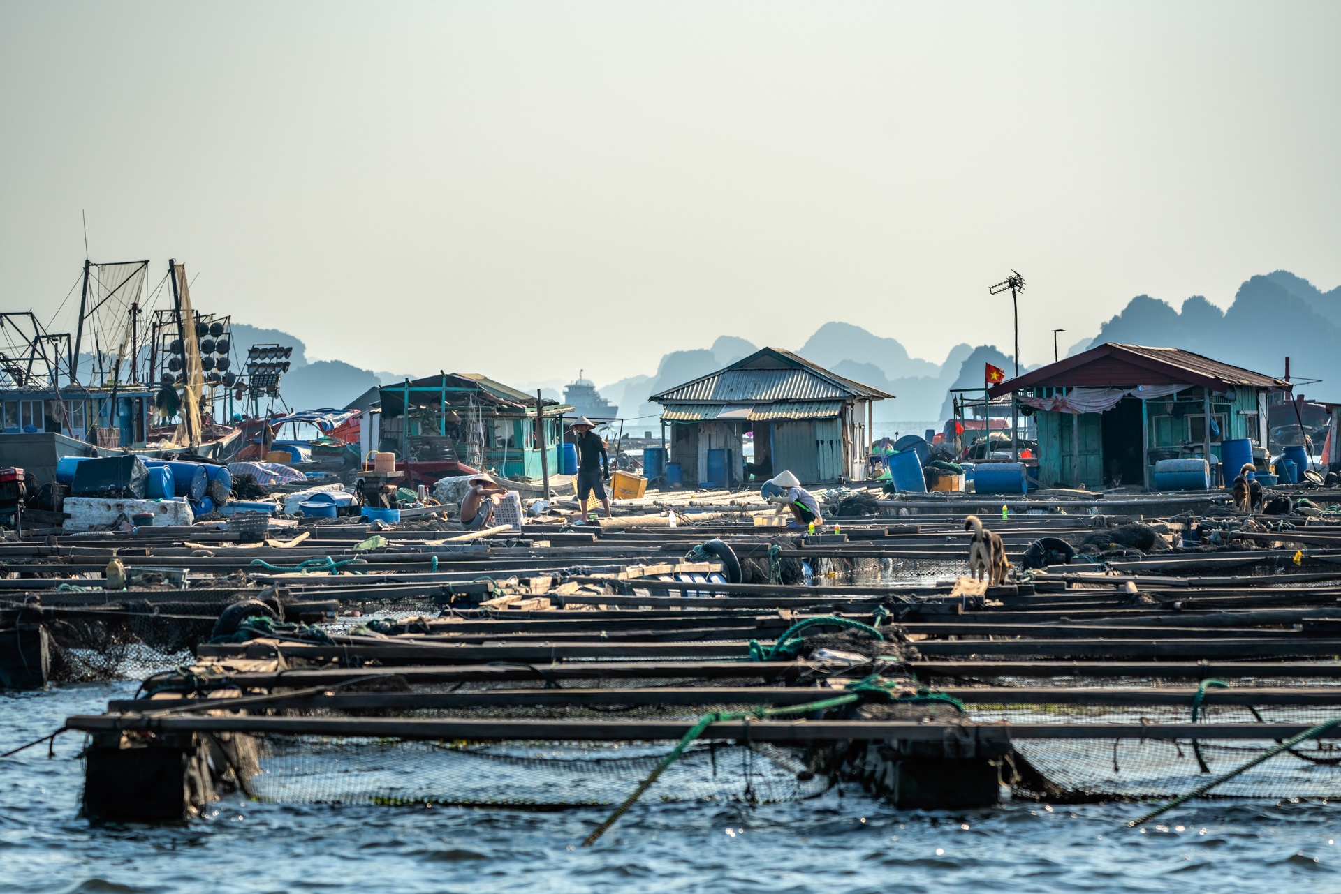 lang chai o Quang Ninh anh 29