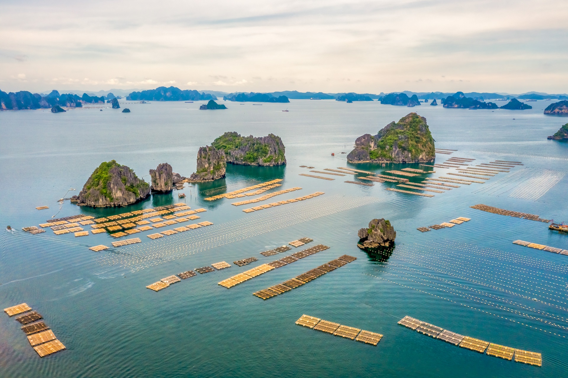 lang chai o Quang Ninh anh 23