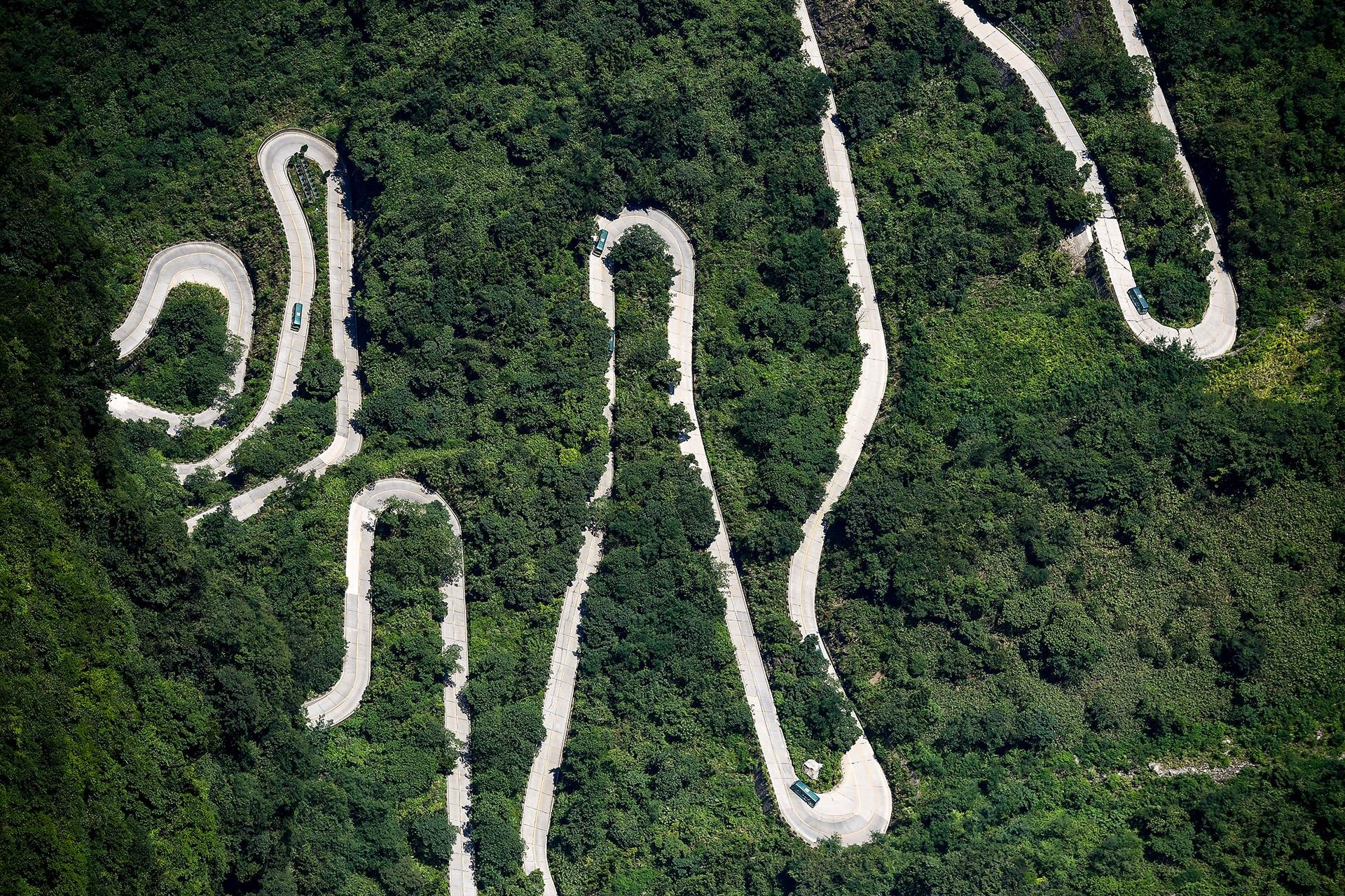 Phuong Hoang Co Tran anh 51