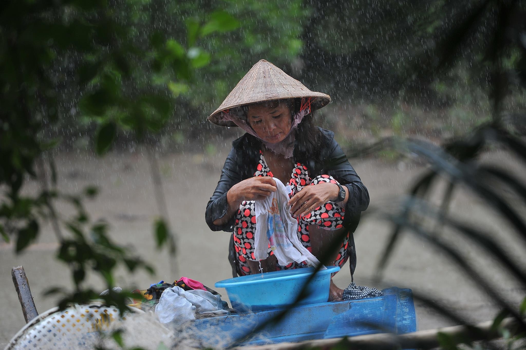 lu lut mien Tay anh 6