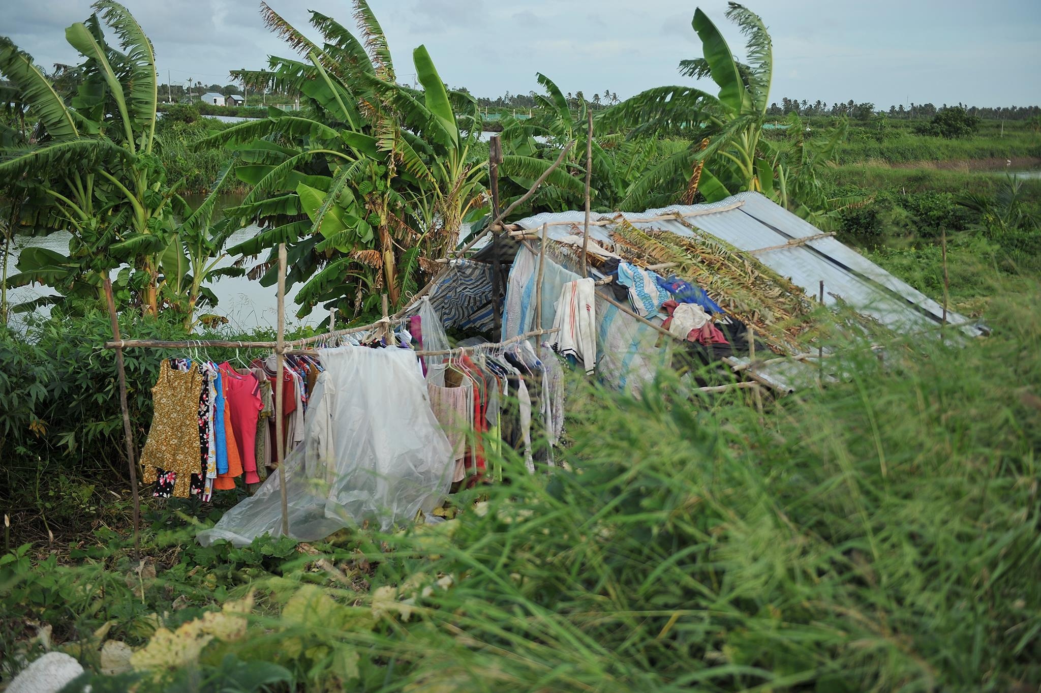 lu lut mien Tay anh 31