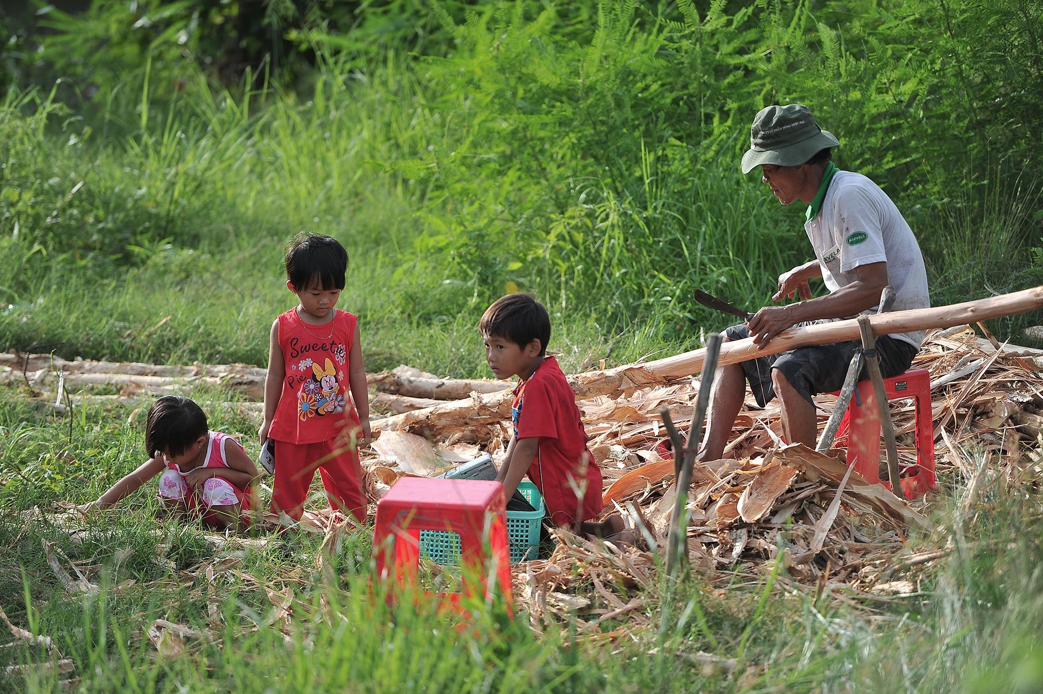 lu lut mien Tay anh 20