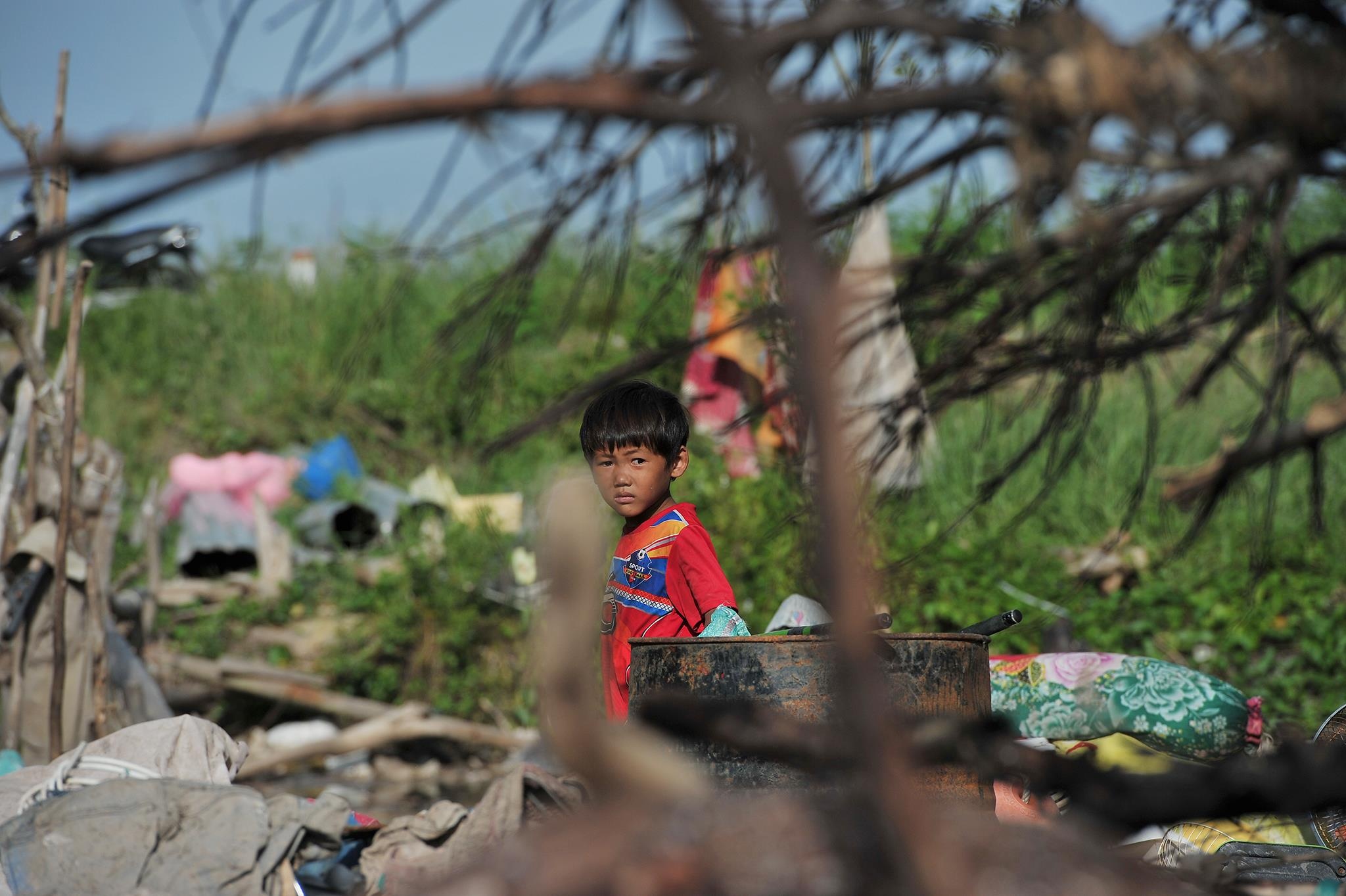 lu lut mien Tay anh 12