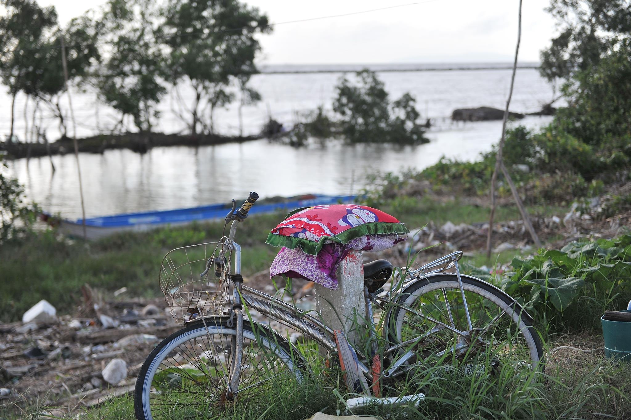 lu lut mien Tay anh 9