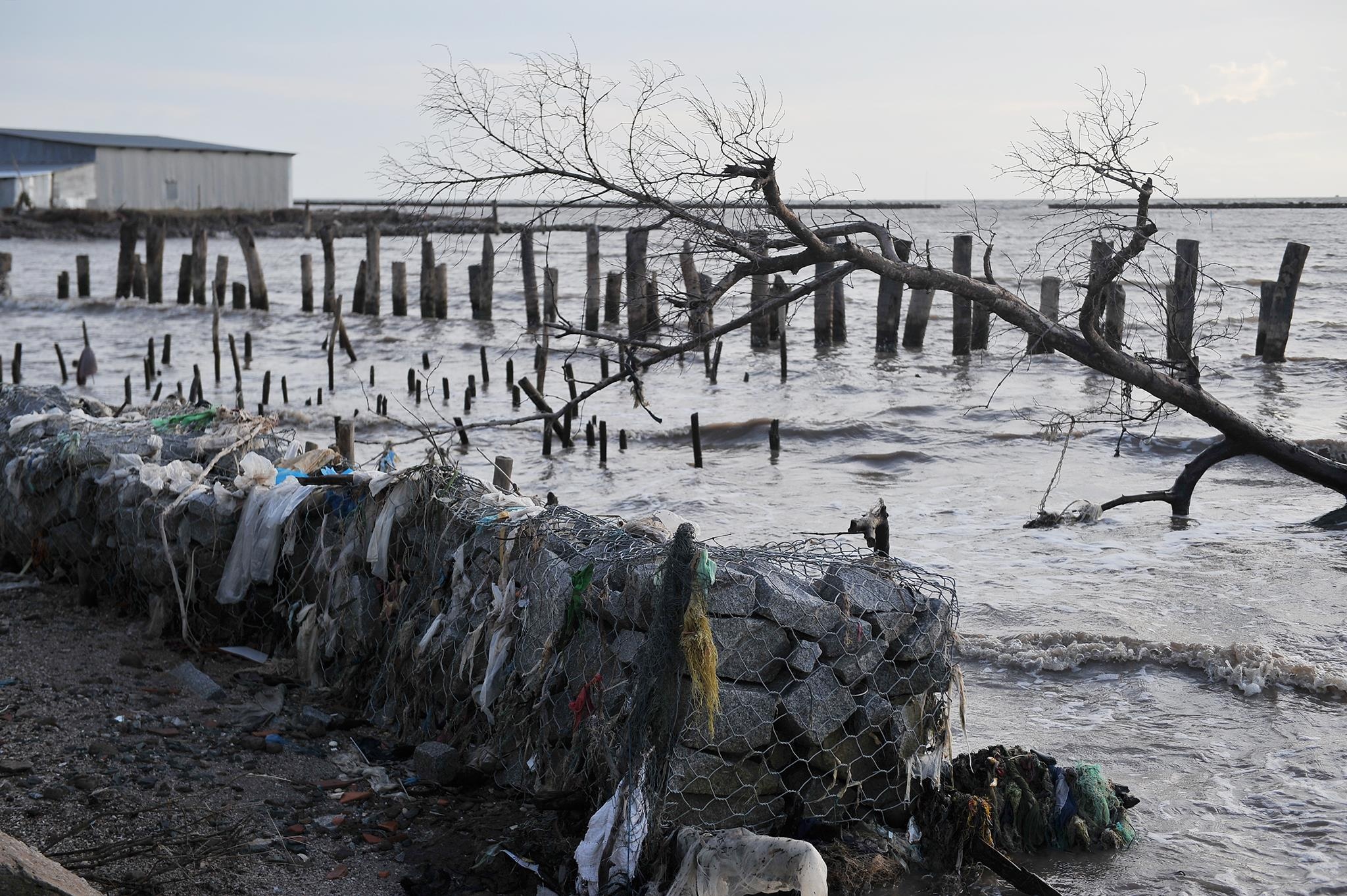 lu lut mien Tay anh 10