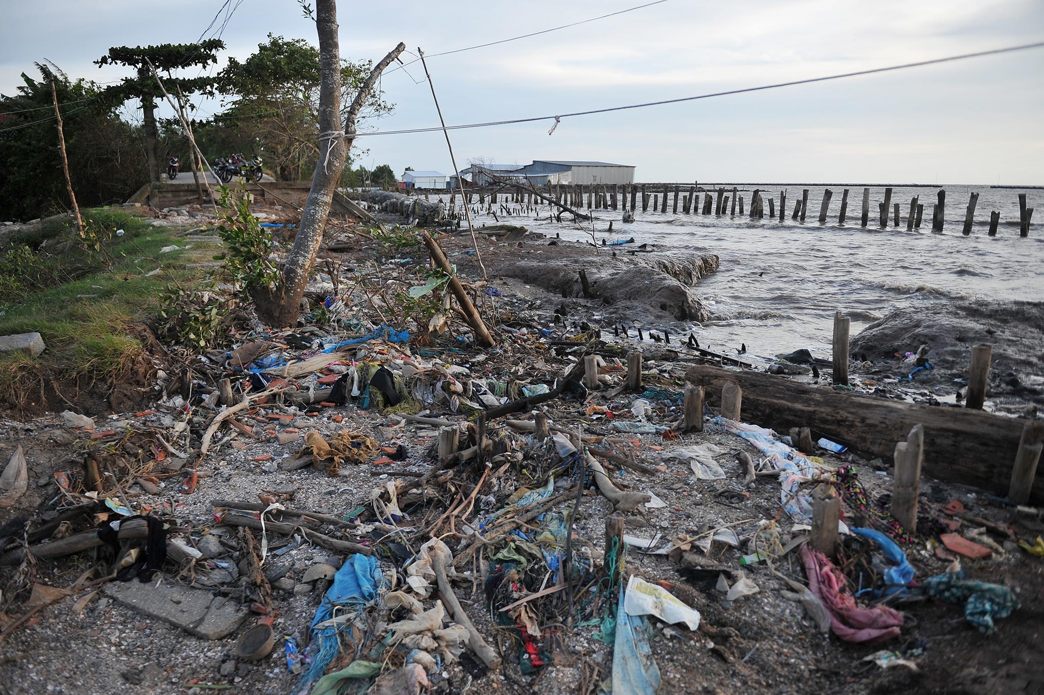 lu lut mien Tay anh 11