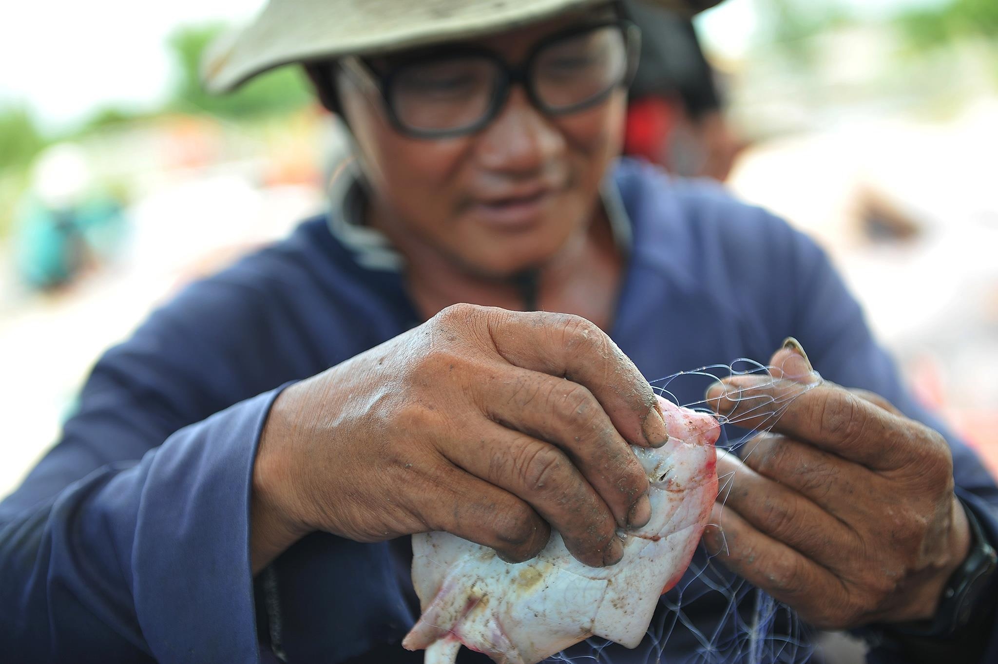 lu lut mien Tay anh 36