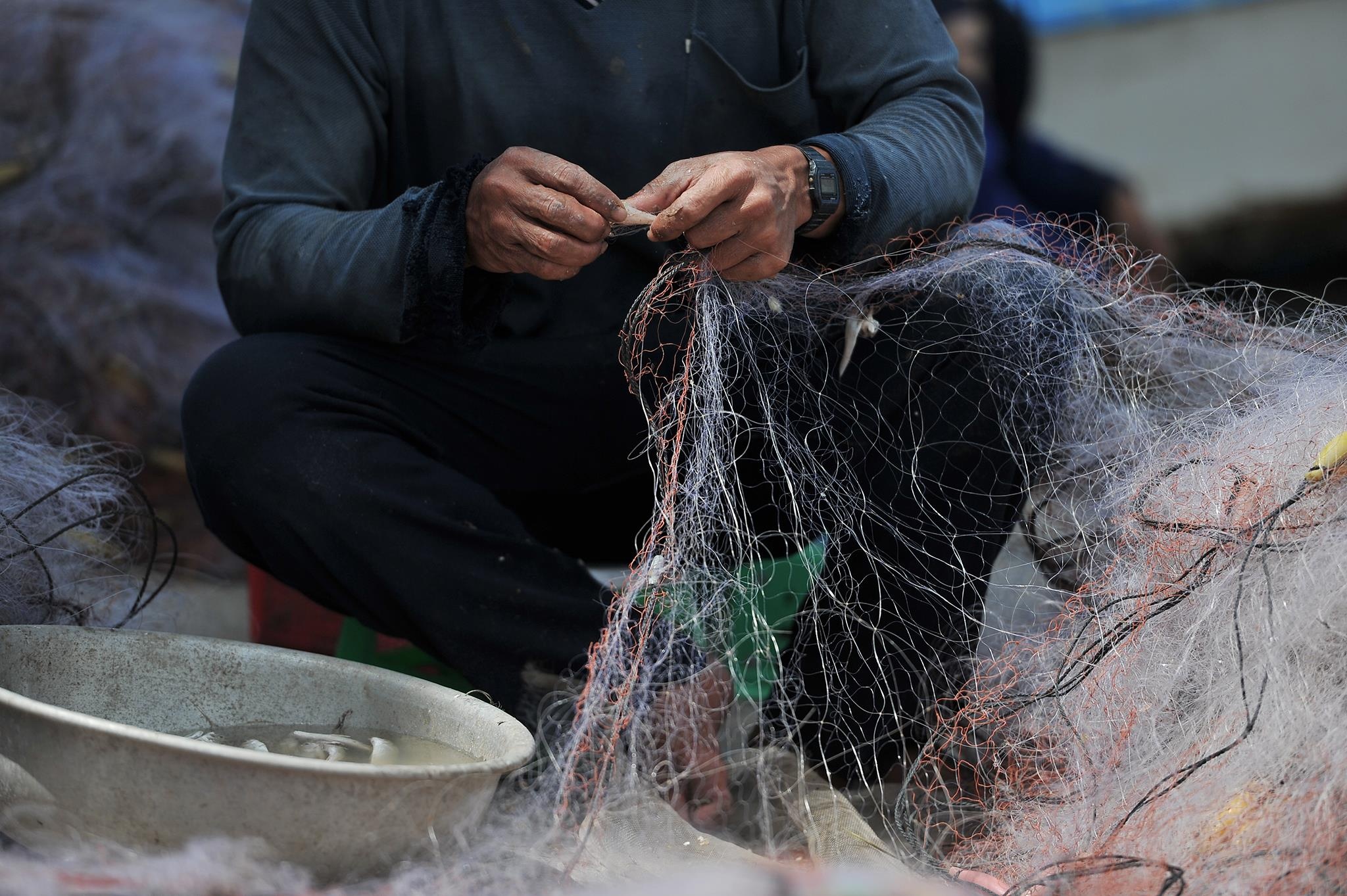 lu lut mien Tay anh 34