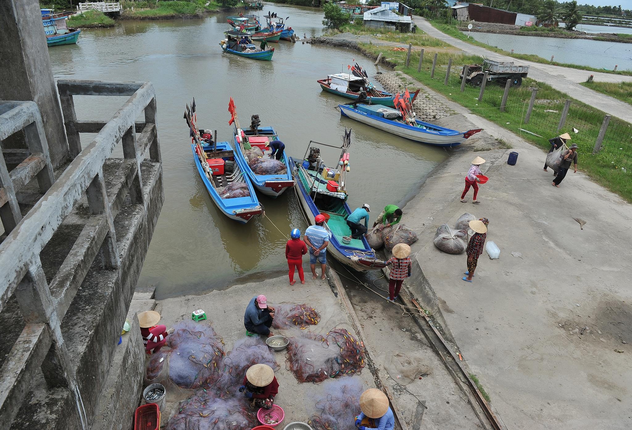 lu lut mien Tay anh 37