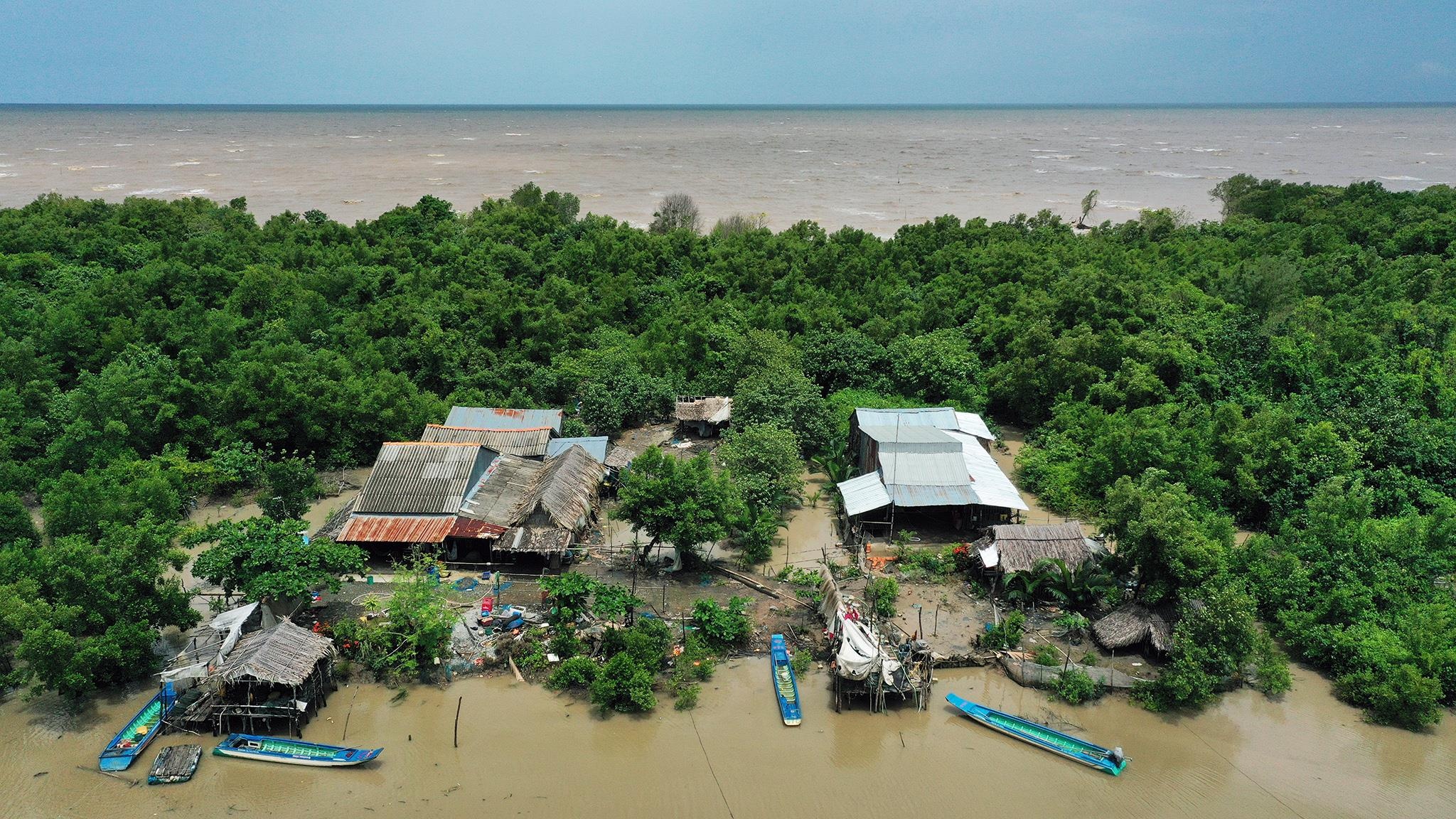 lu lut mien Tay anh 2