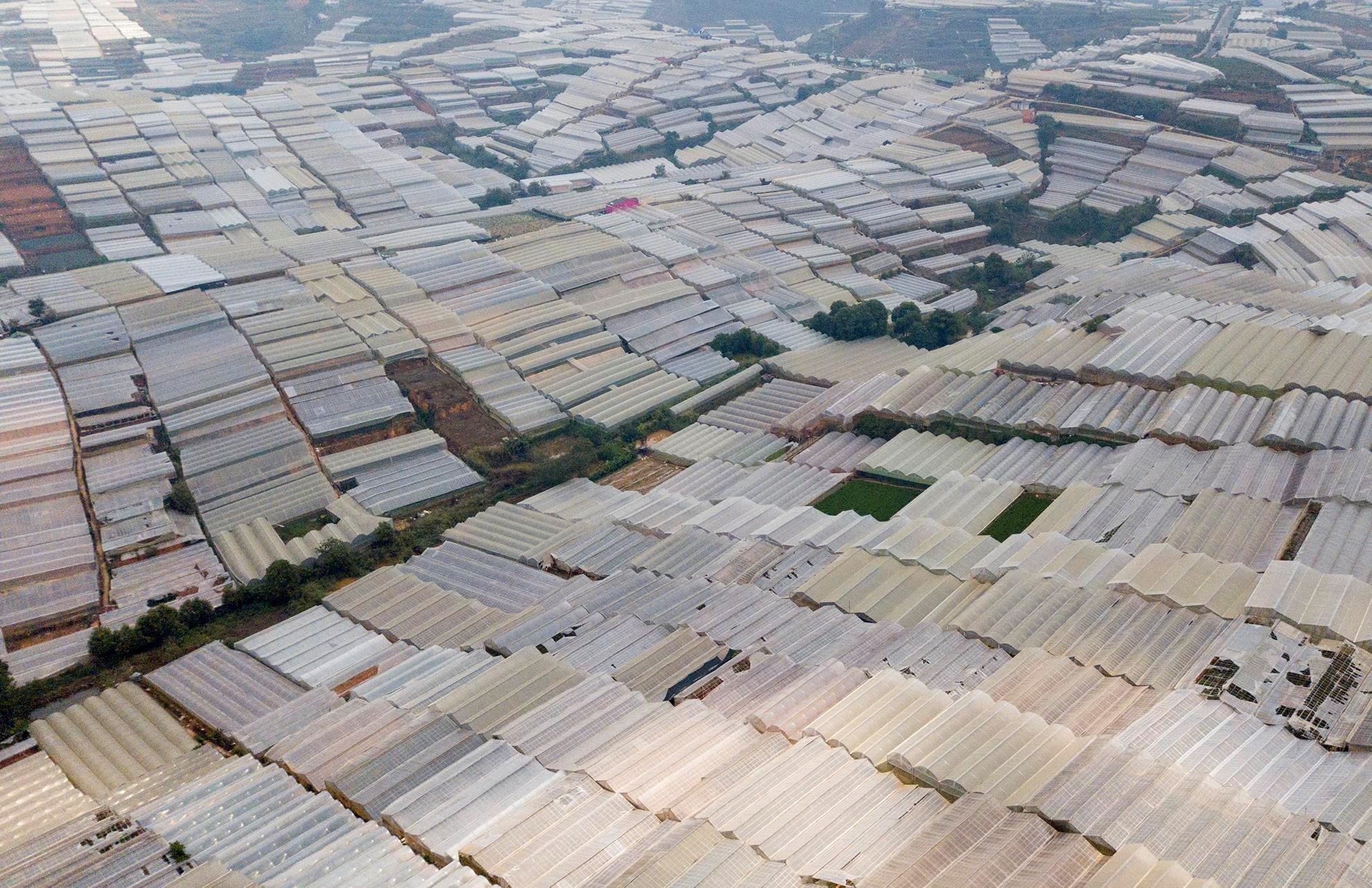 hinh anh dep tren Zing.vn anh 4