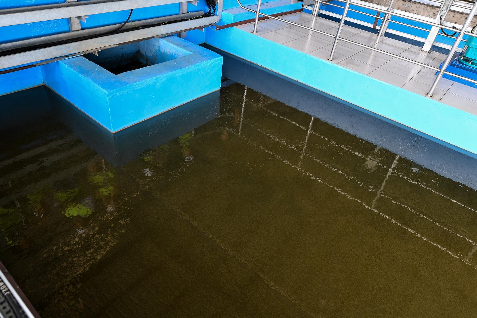 nha may nuoc mat song Duong cho ra nuoc uong tai v anh 21