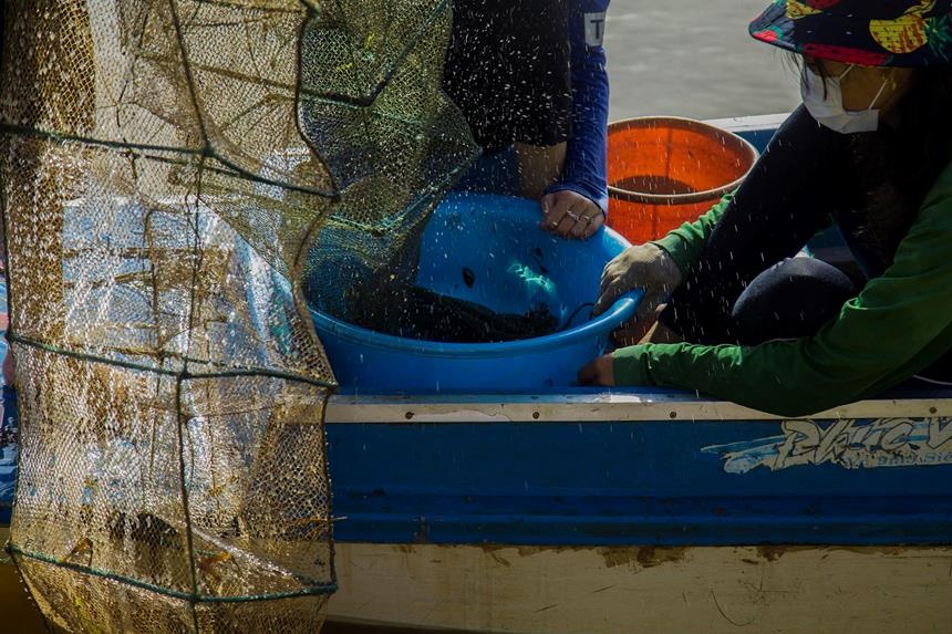 anh tuan qua tren Zing.vn anh 5