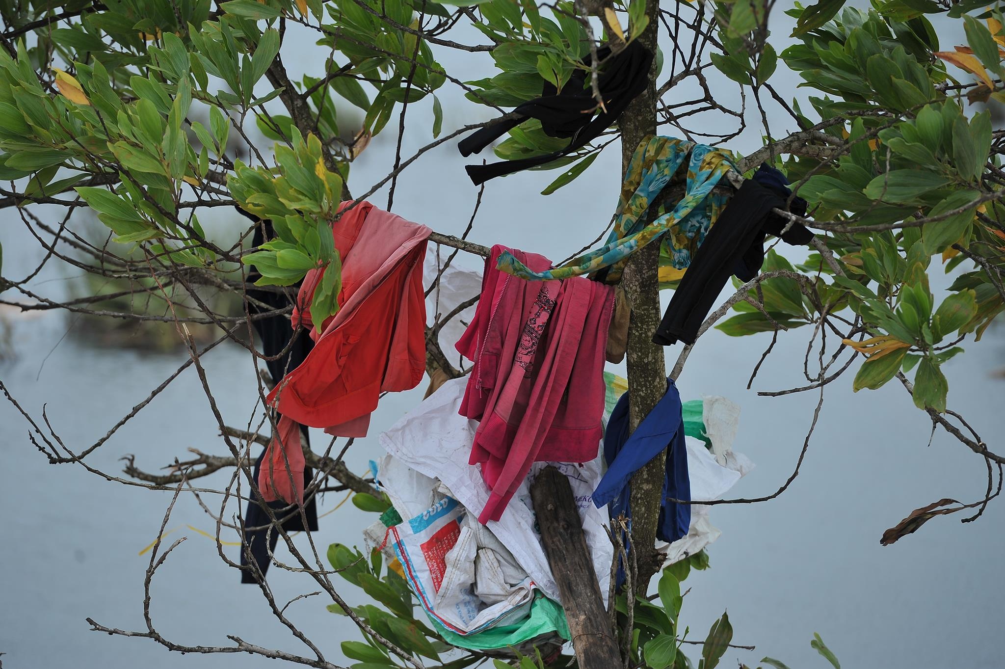 rac o Phu Quoc anh 55