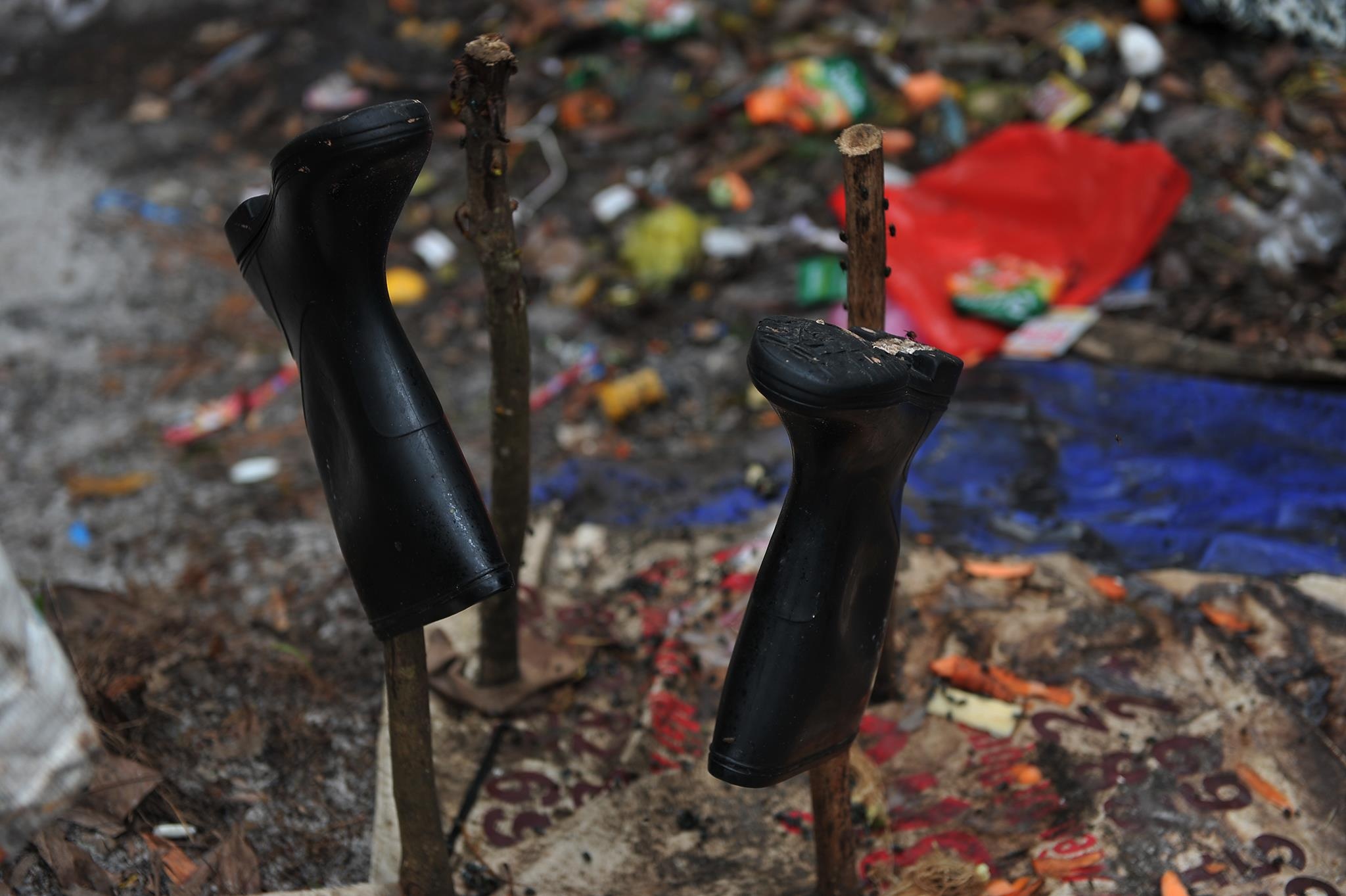 rac o Phu Quoc anh 56