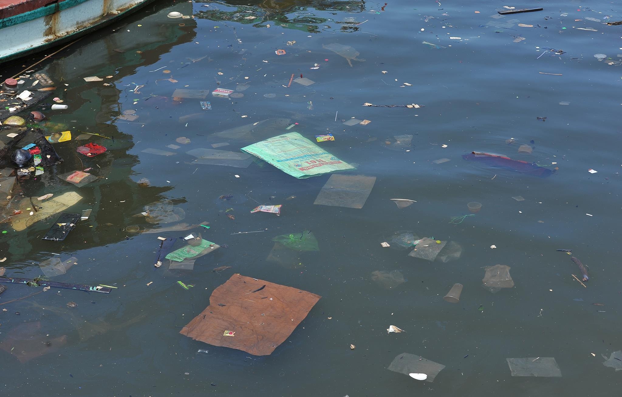 rac o Phu Quoc anh 3