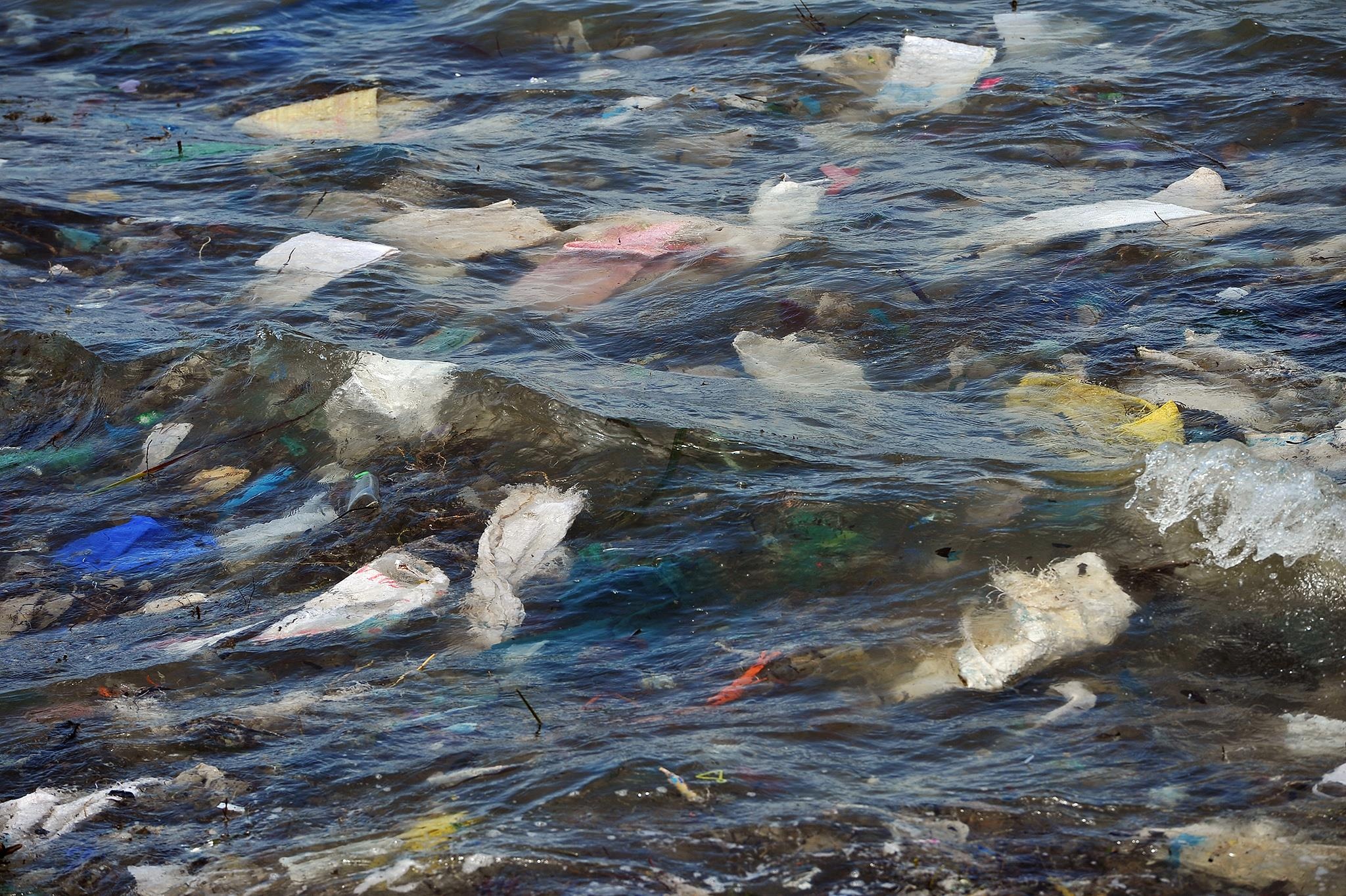 rac o Phu Quoc anh 6