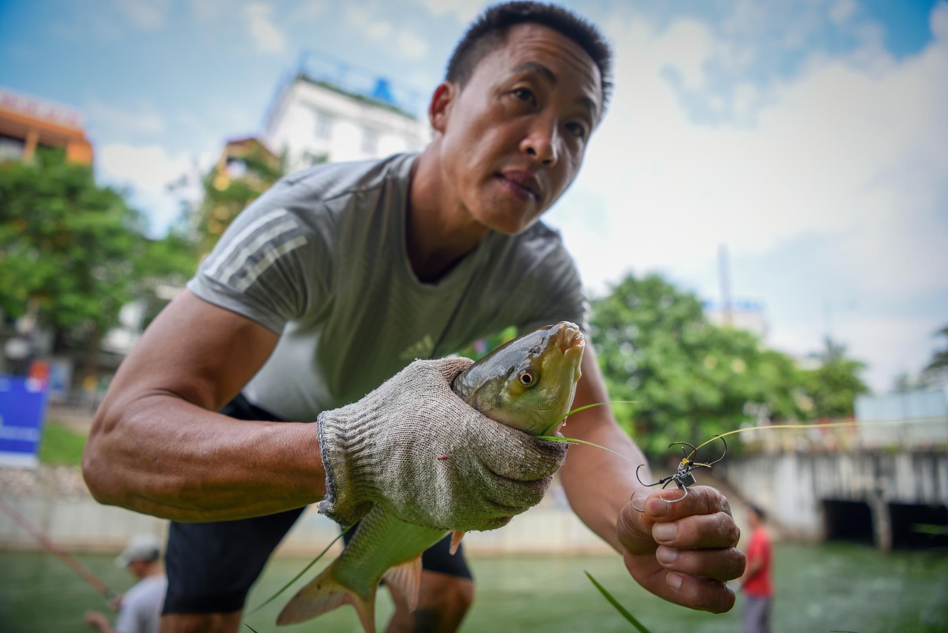 hình ảnh đẹp trên Zing.vn ảnh 4 hinh anh dep tren Zing.vn anh 4