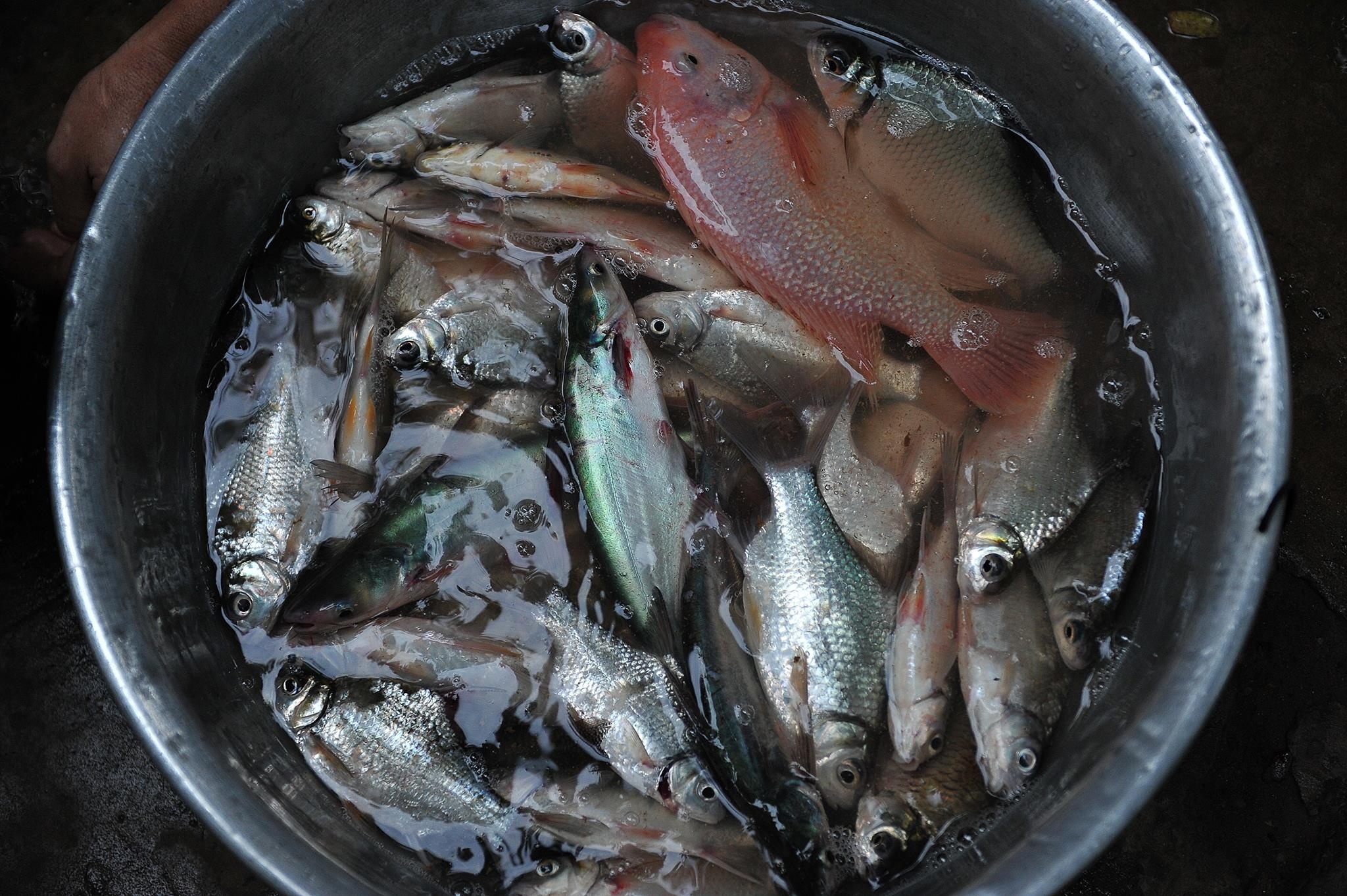 mua lu o mien Tay anh 5