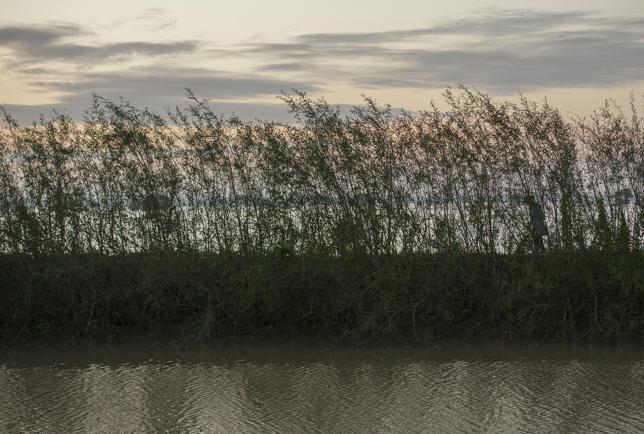 mua lu o mien Tay anh 3