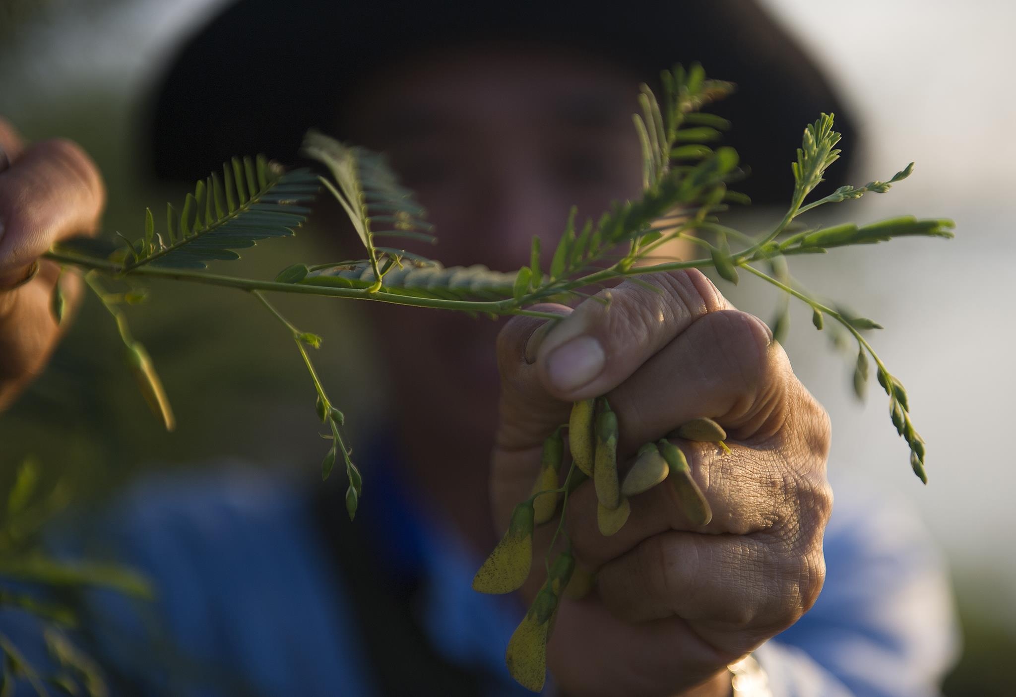 mua lu o mien Tay anh 8