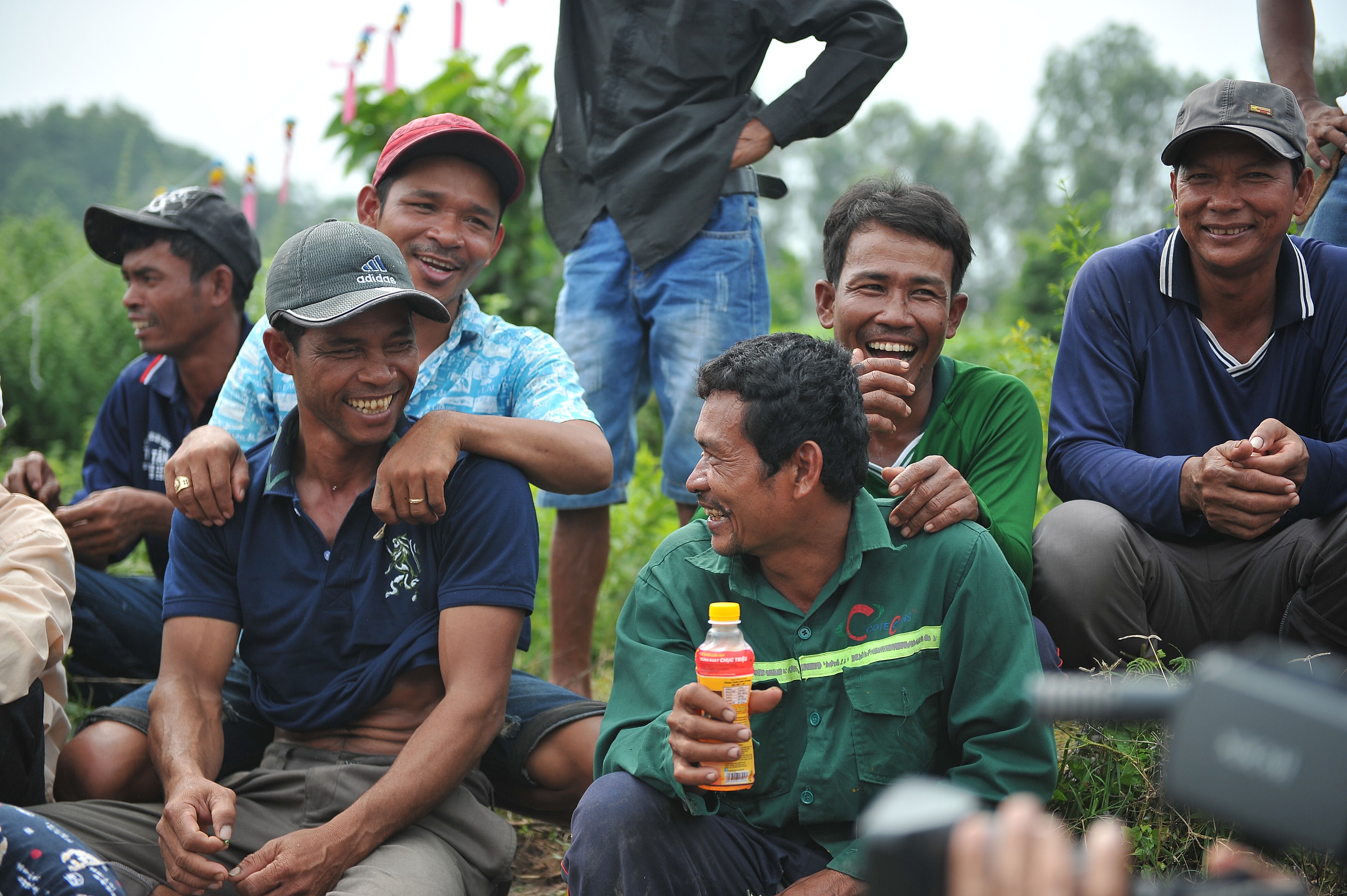 dua bo o An Giang anh 9