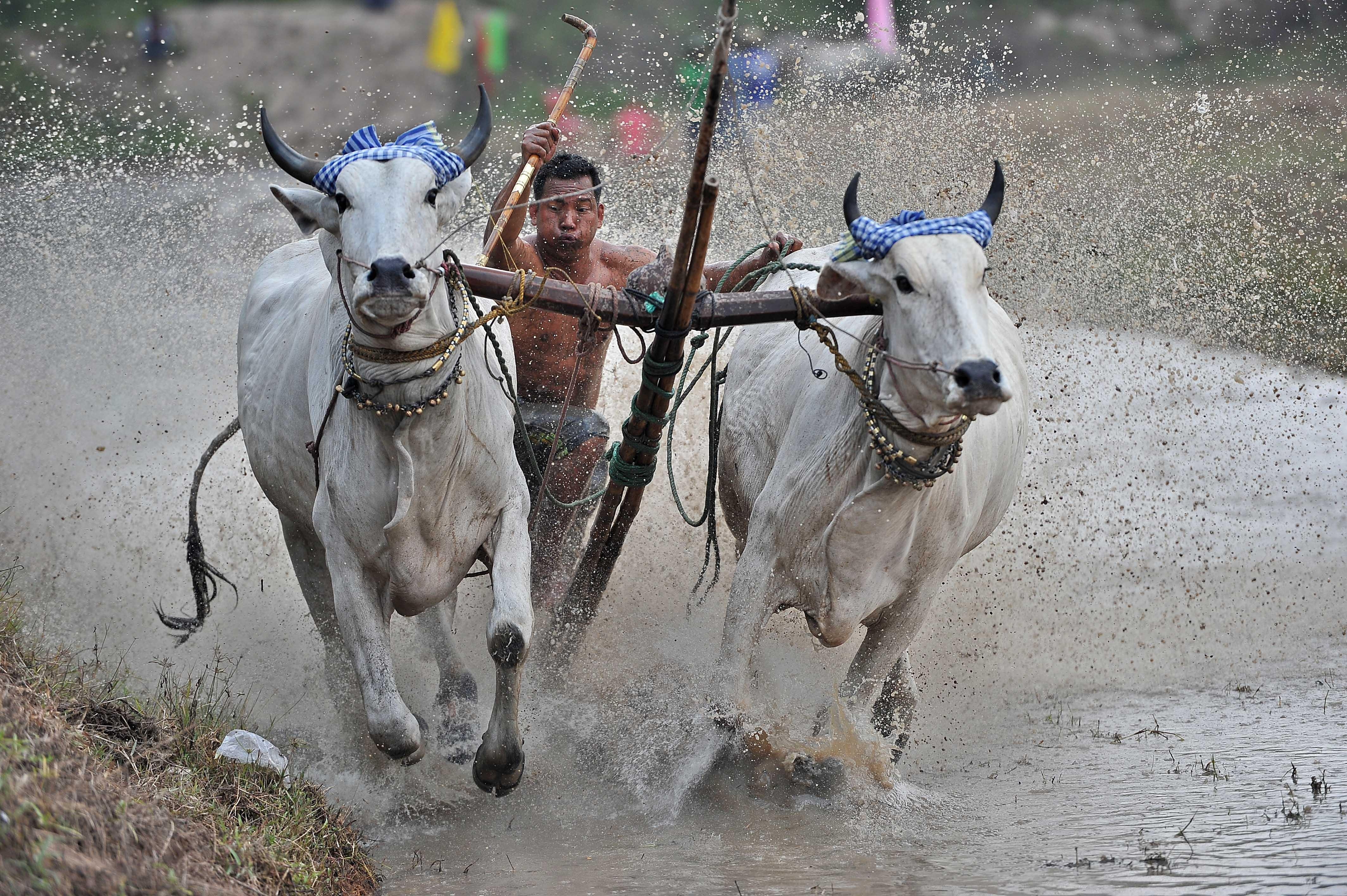 Man so tai gay can o giai dua bo mien Tay hinh anh