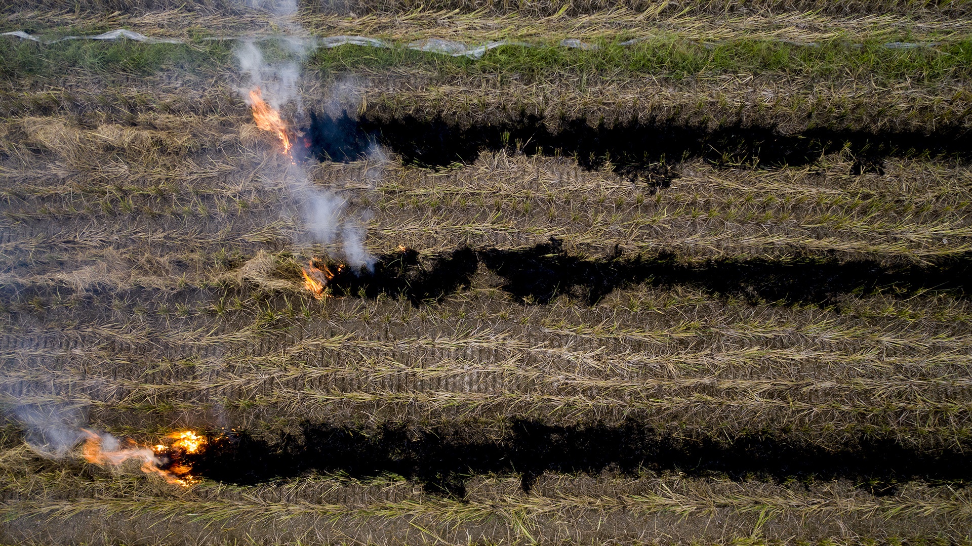 dot rom ra o canh dong Ha Noi anh 9